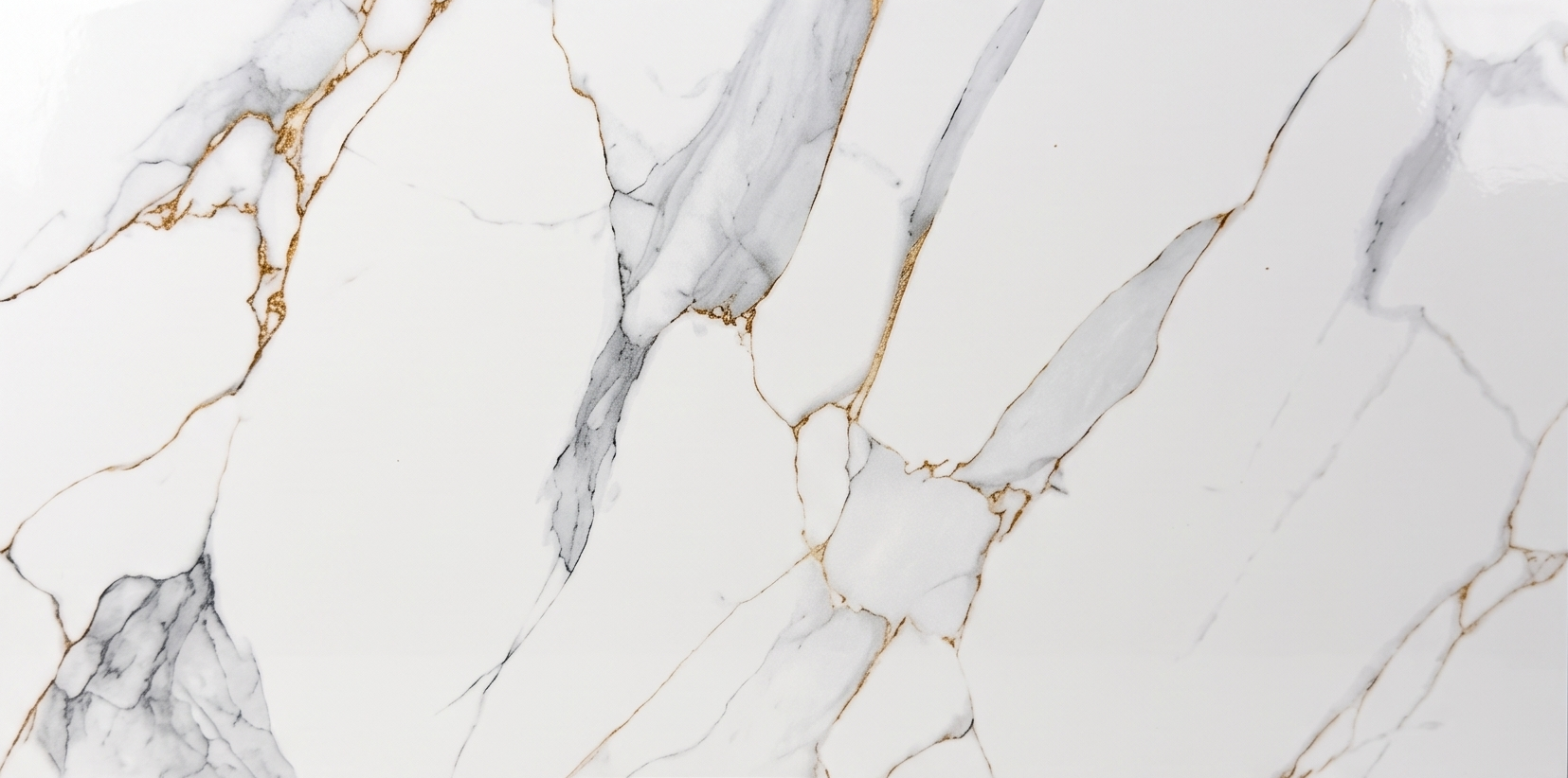 30X60 Glossy
