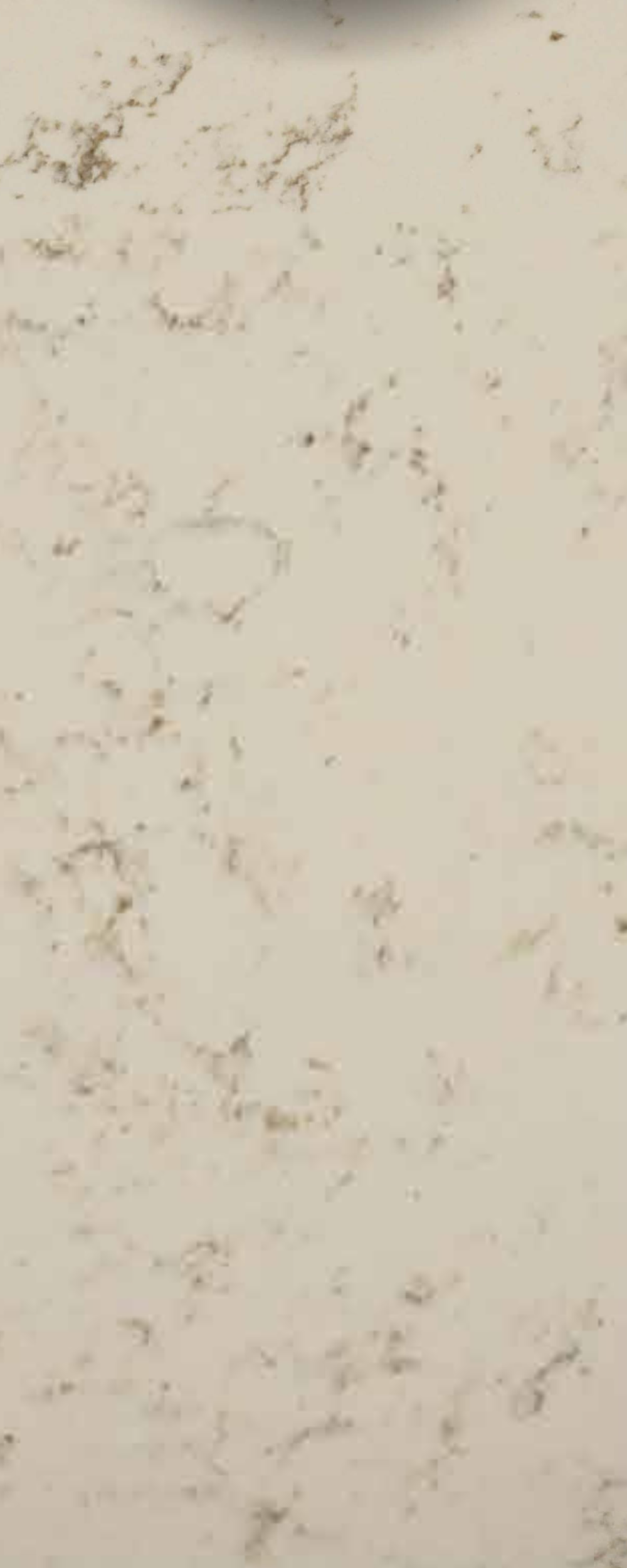 Kitchen Product