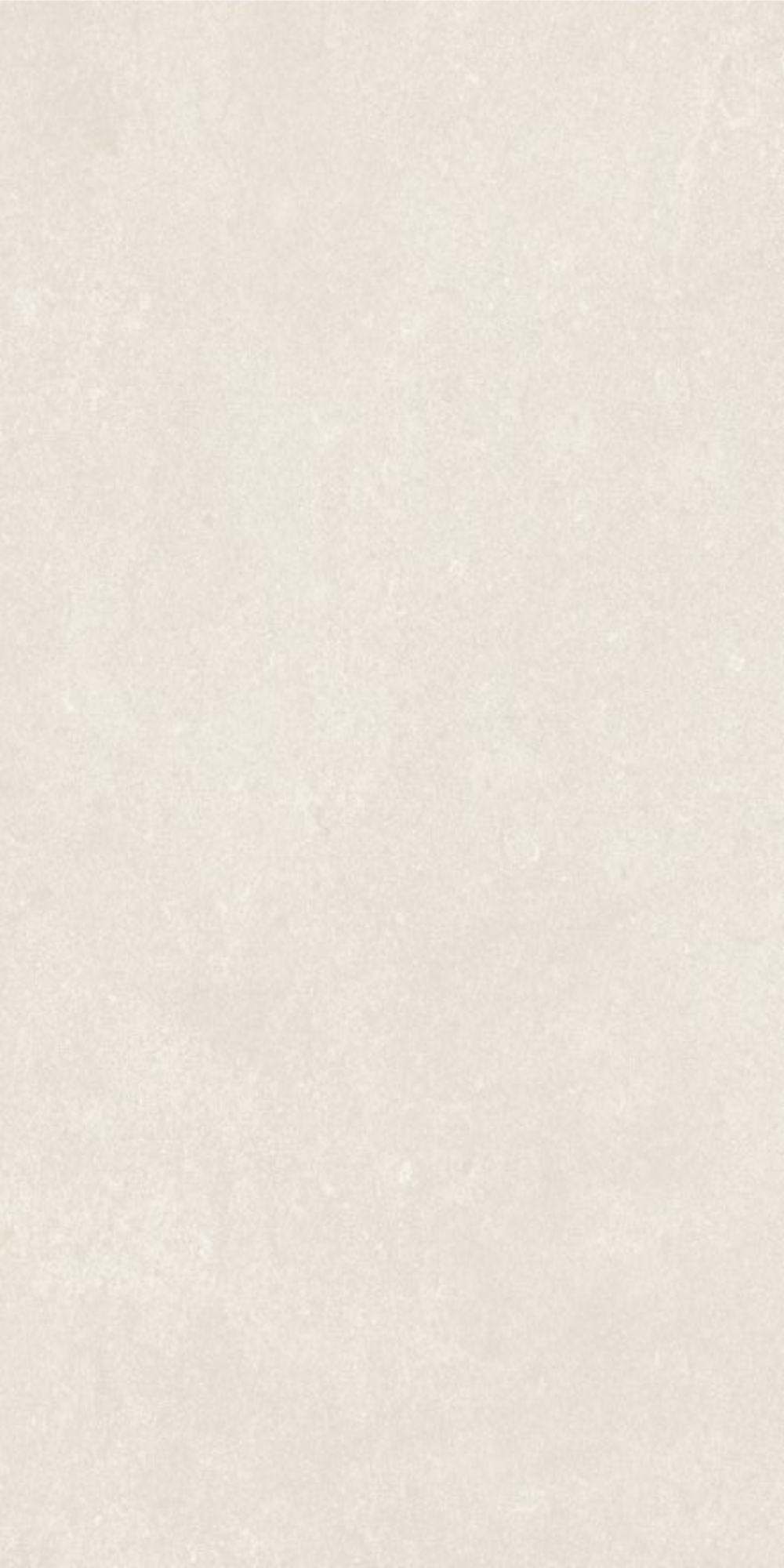 60X120 Matt
