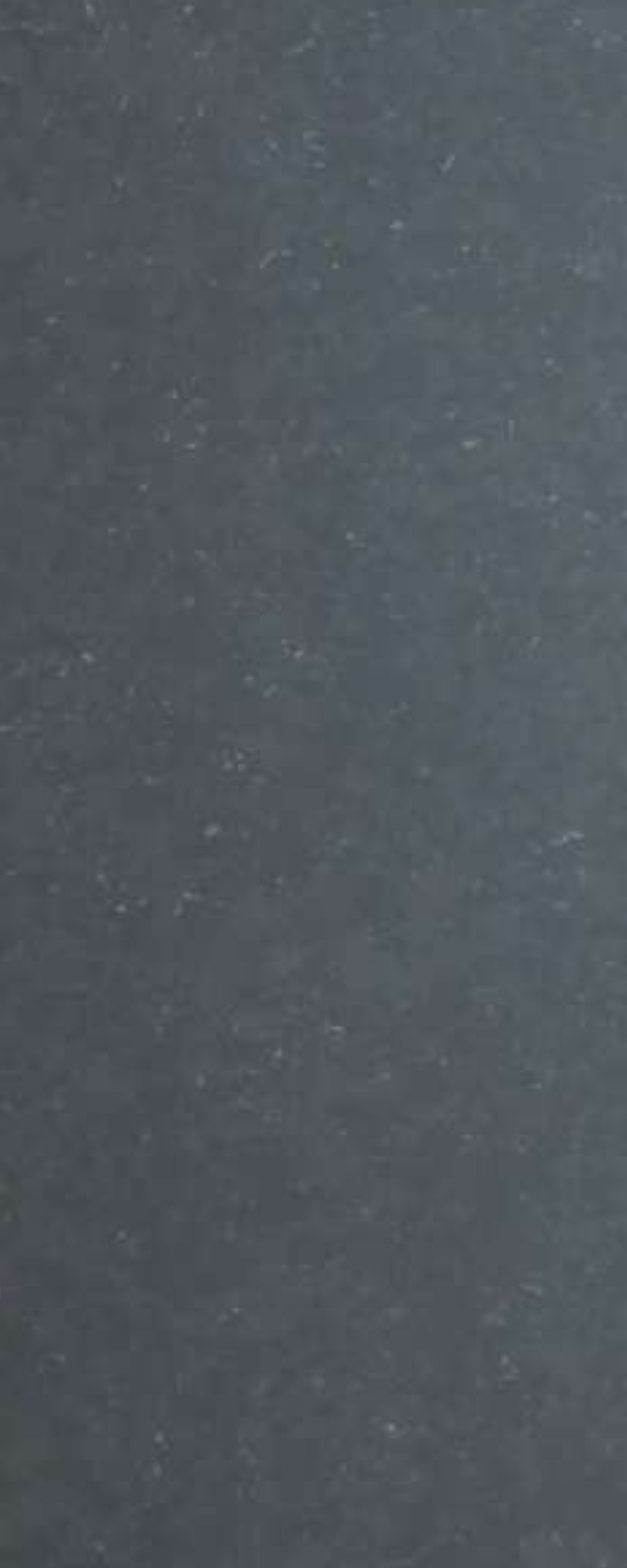 Pietra Grey