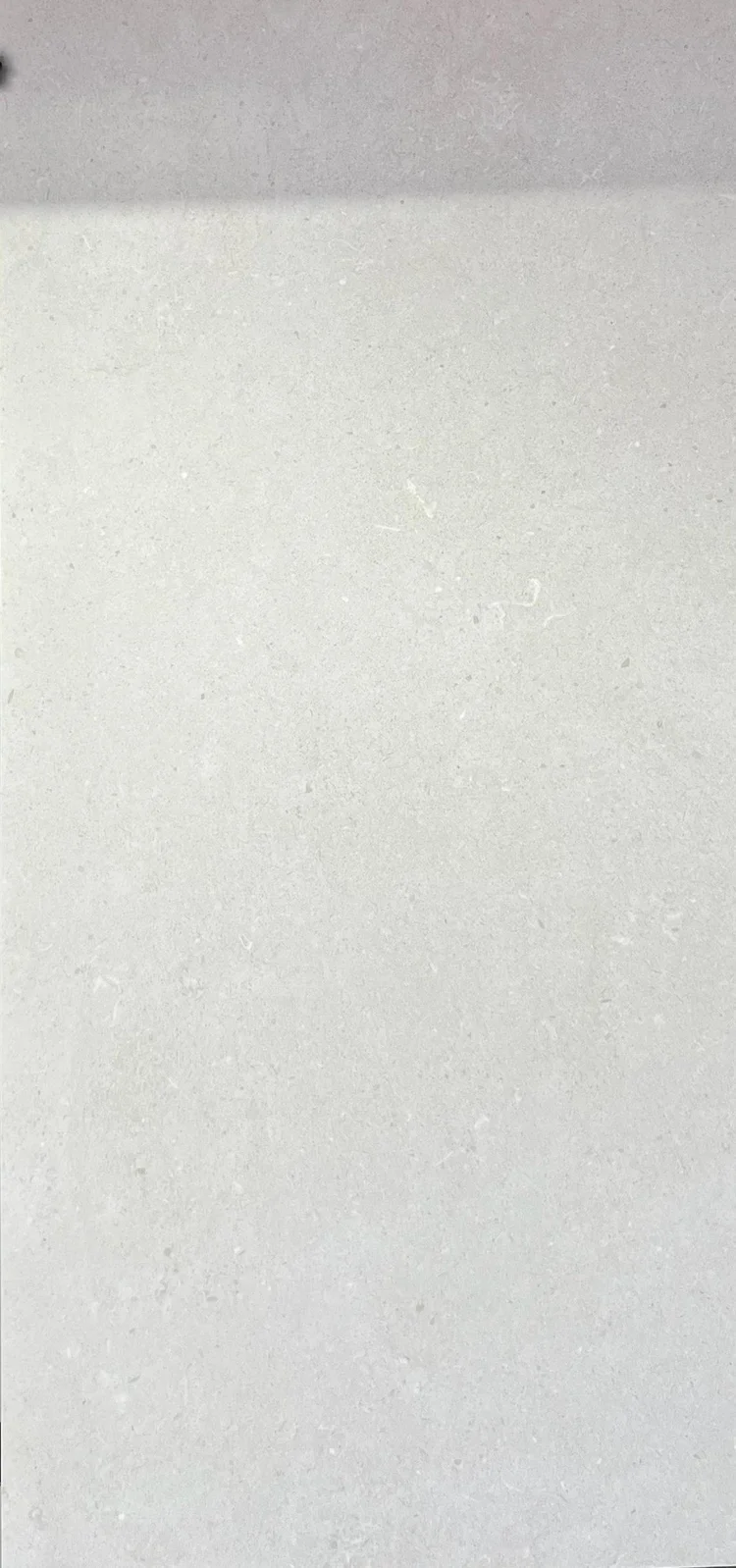 60X120 Matt