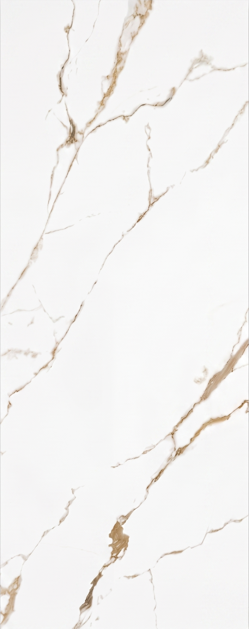 ORIO BIANCO SLAB