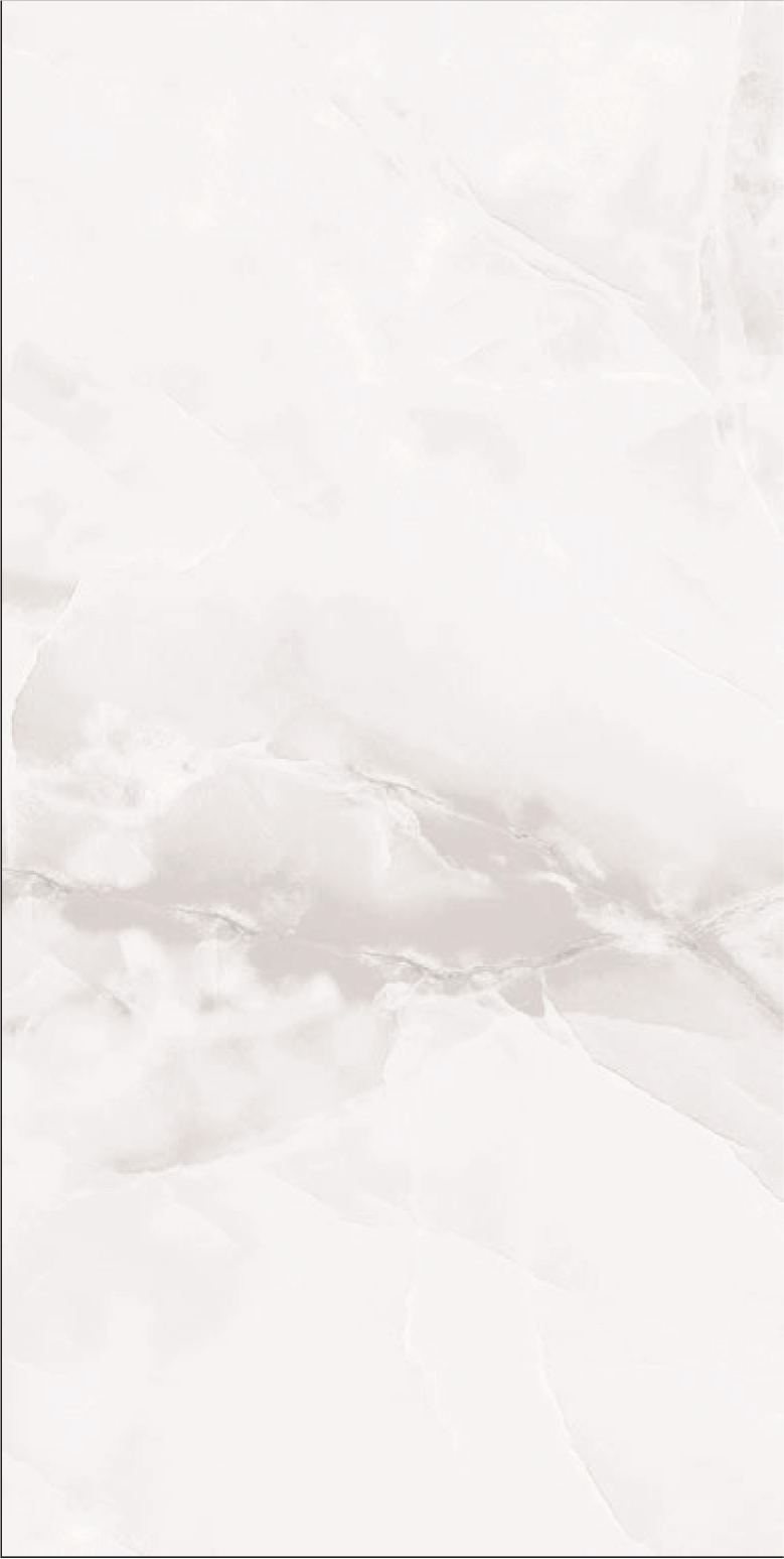 60X120 Glossy