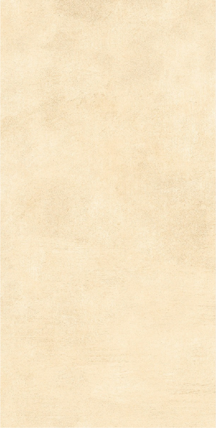 60X120 Matt
