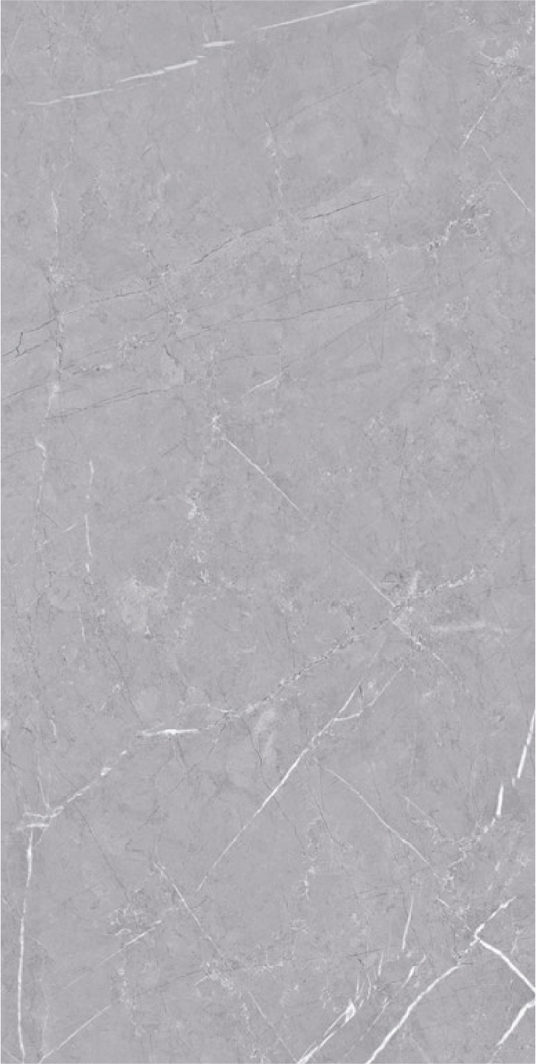 CLASSIC PULPISE GREY
