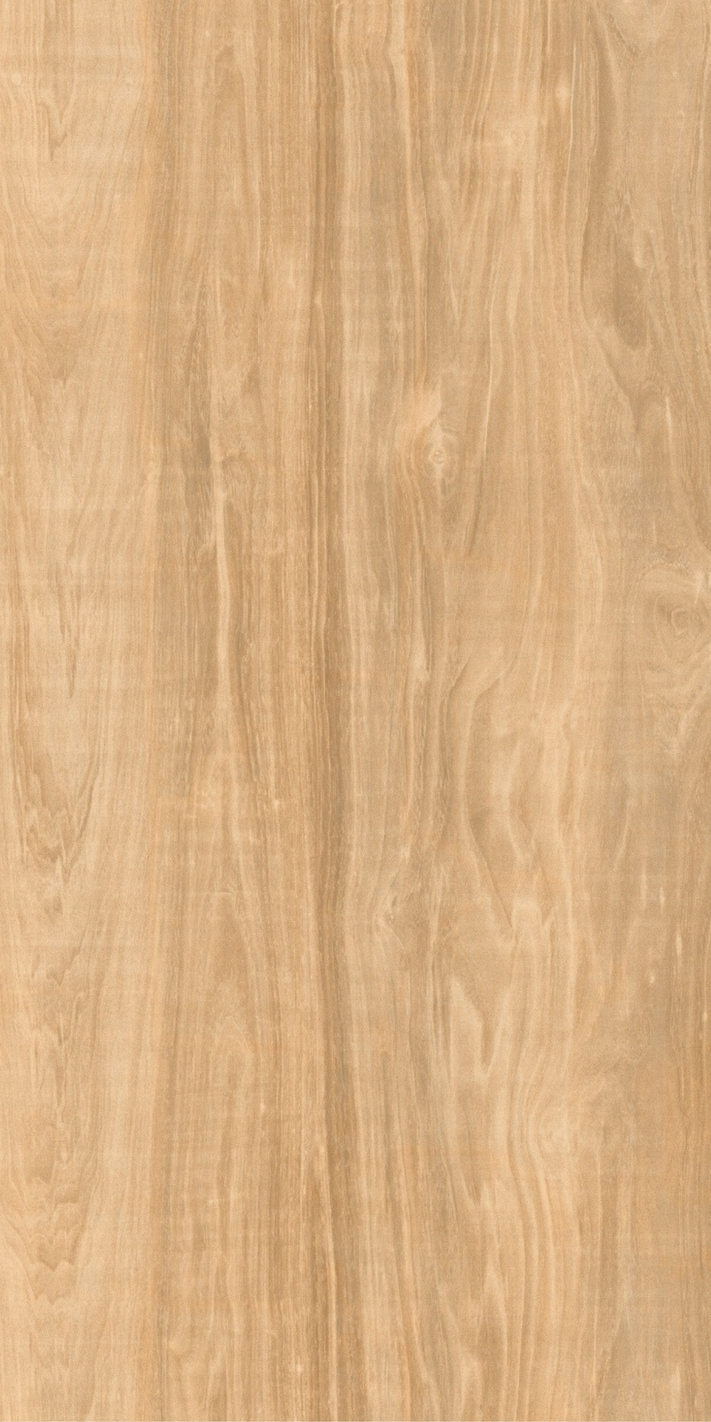 60X120 Matt