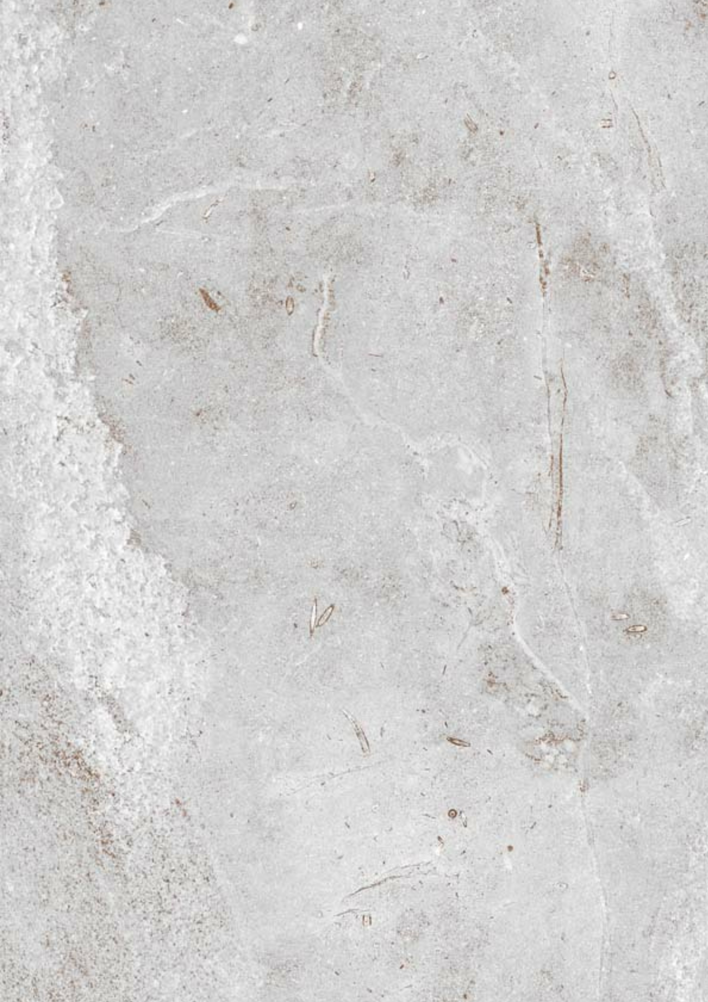 ARIUM GREY