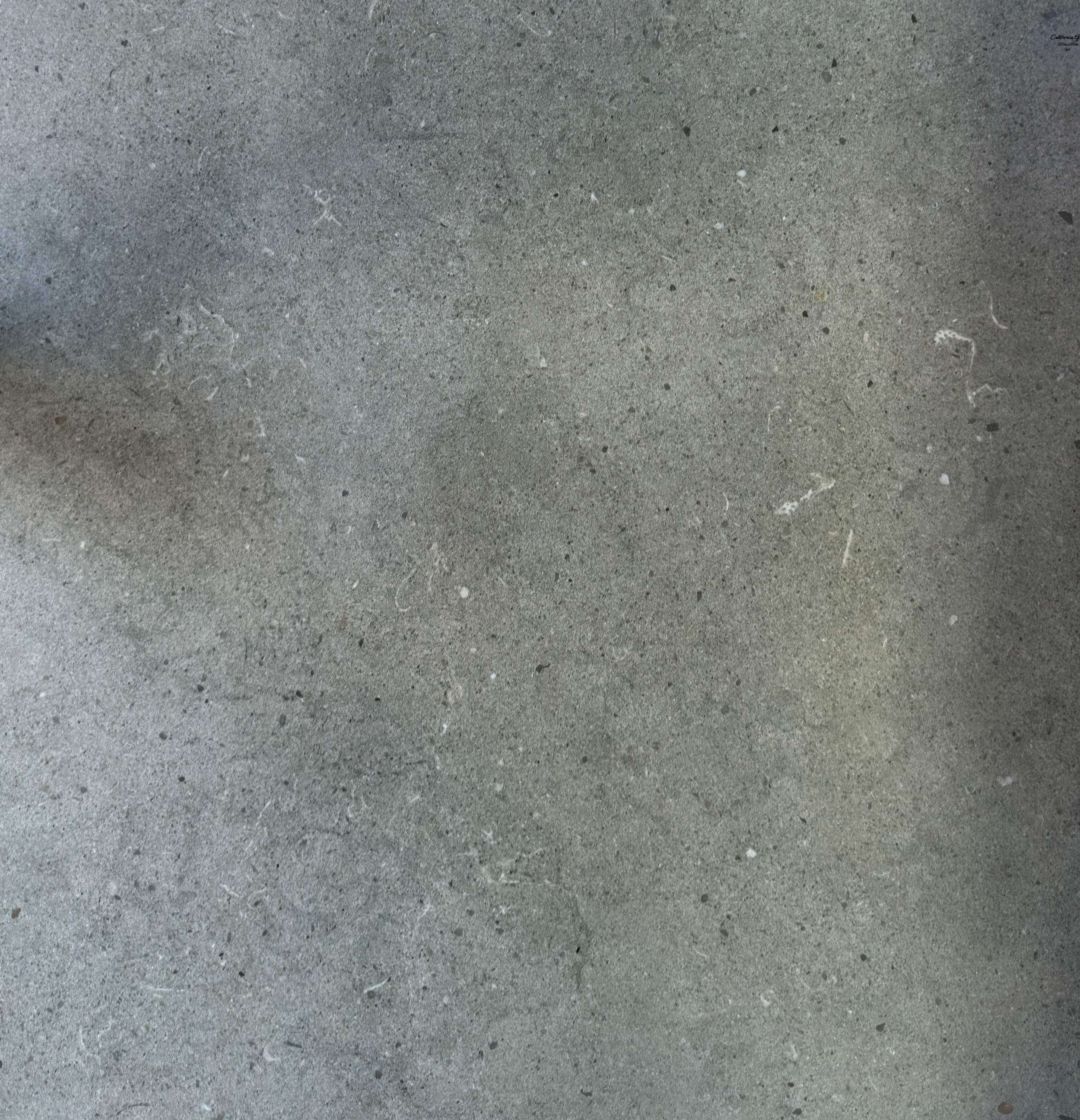 CARLIFONIA GREY TILE.png
