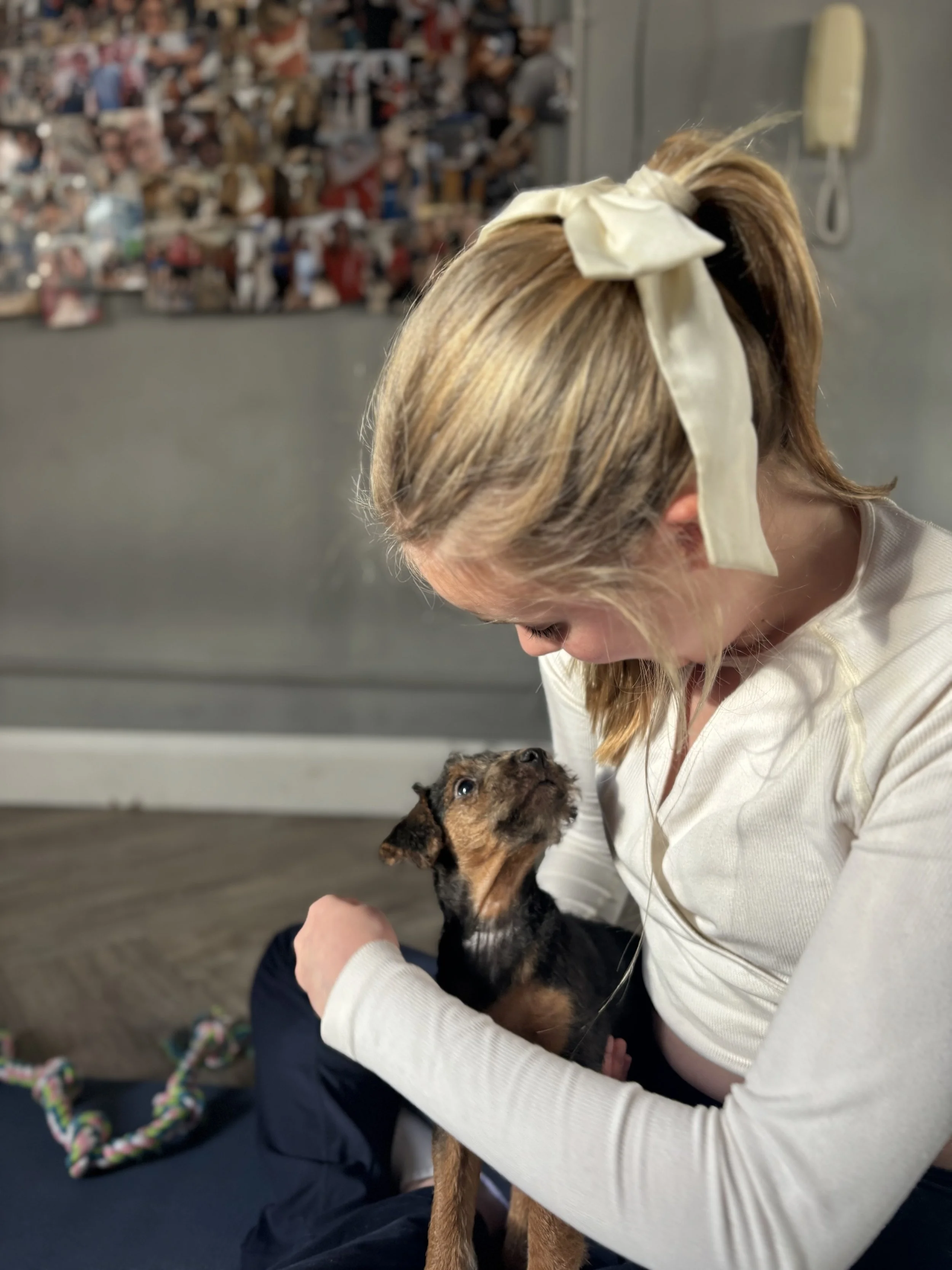 Retreat day experiences - cuddle & connect (puppy yoga) — re:treat