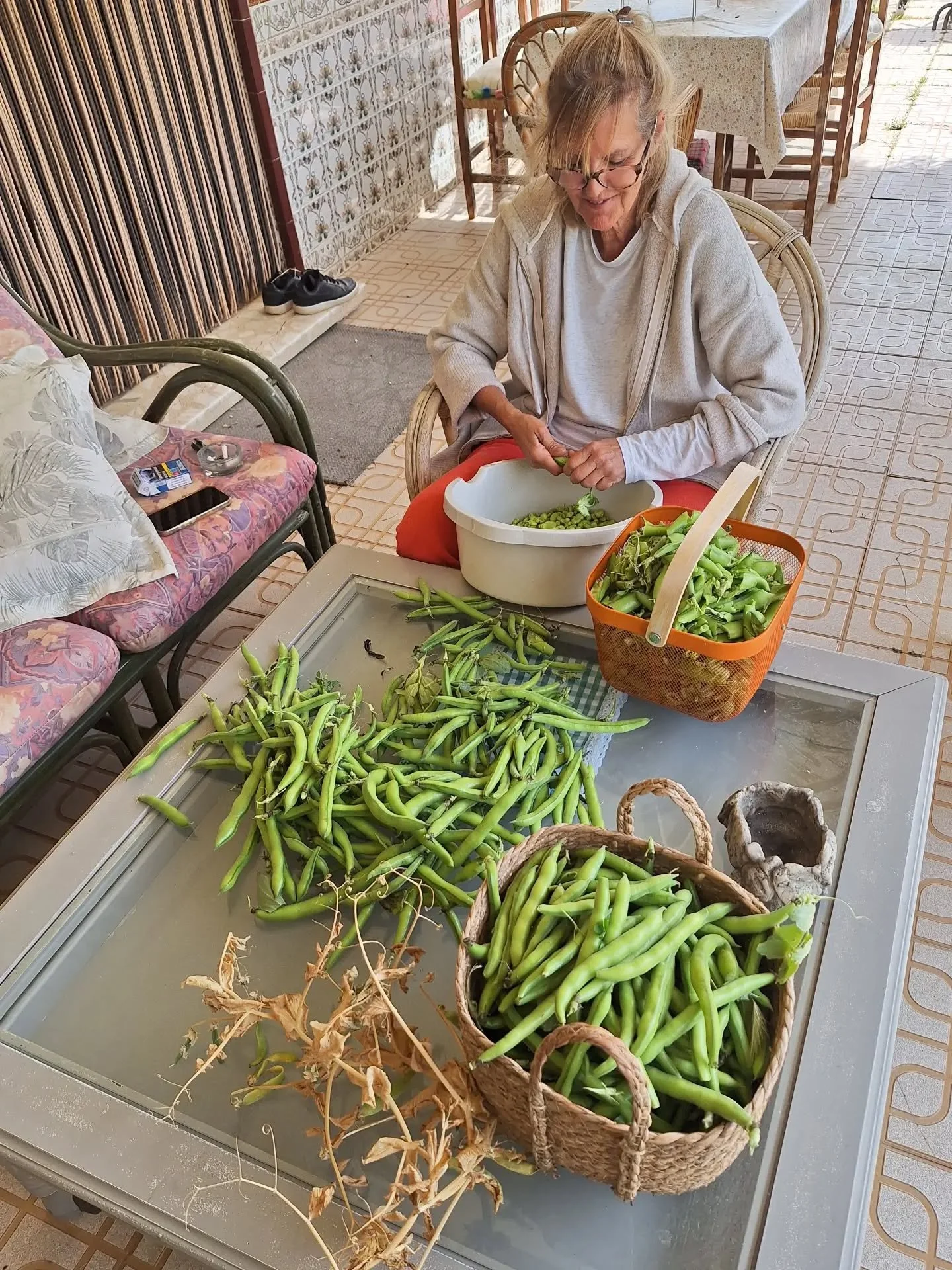 Este a&ntilde;o recogimos las habas el 23 de abril. Un poco m&aacute;s peque&ntilde;as que el a&ntilde;o pasado para que estuvieran m&aacute;s tiernecitas a petici&oacute;n de la abuela.

Ademas estoy cambiando la distribucion del huerto y me venia b