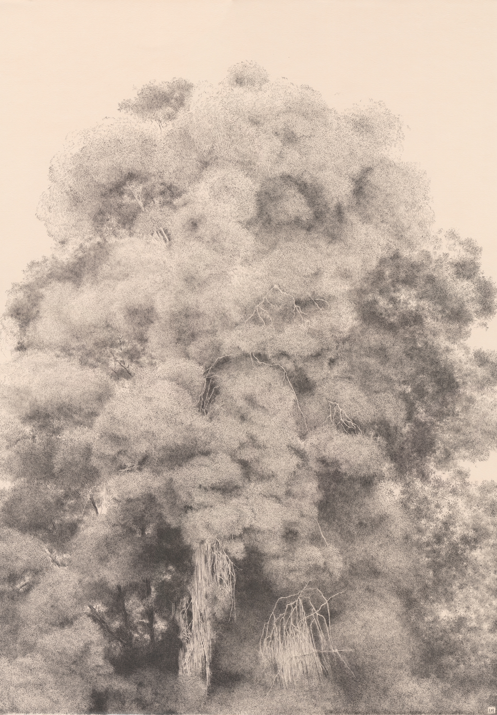 Sans Titre, 2026
Encre de Chine sur papier, 70x50 cm