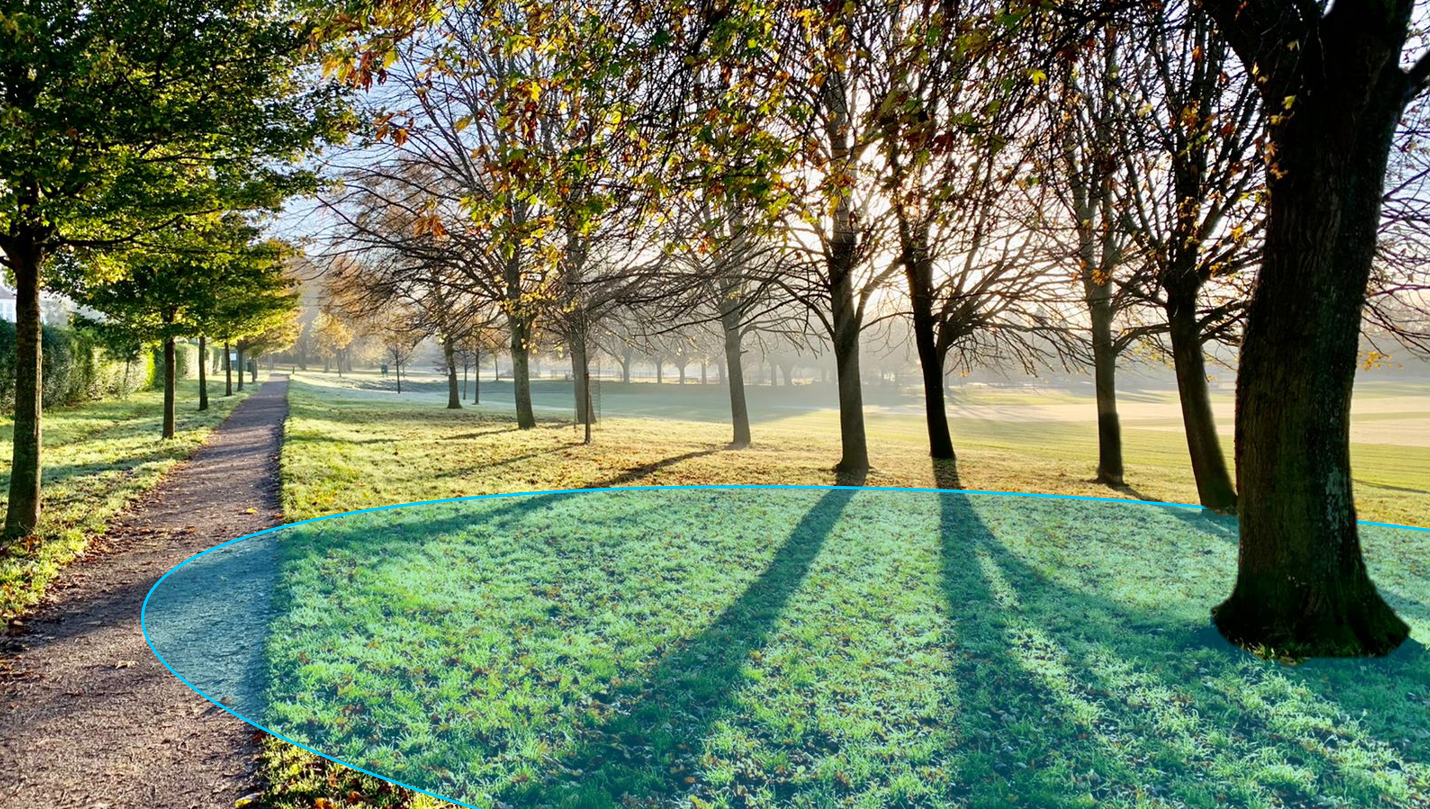 BS5837 Tree Root Protection Area image