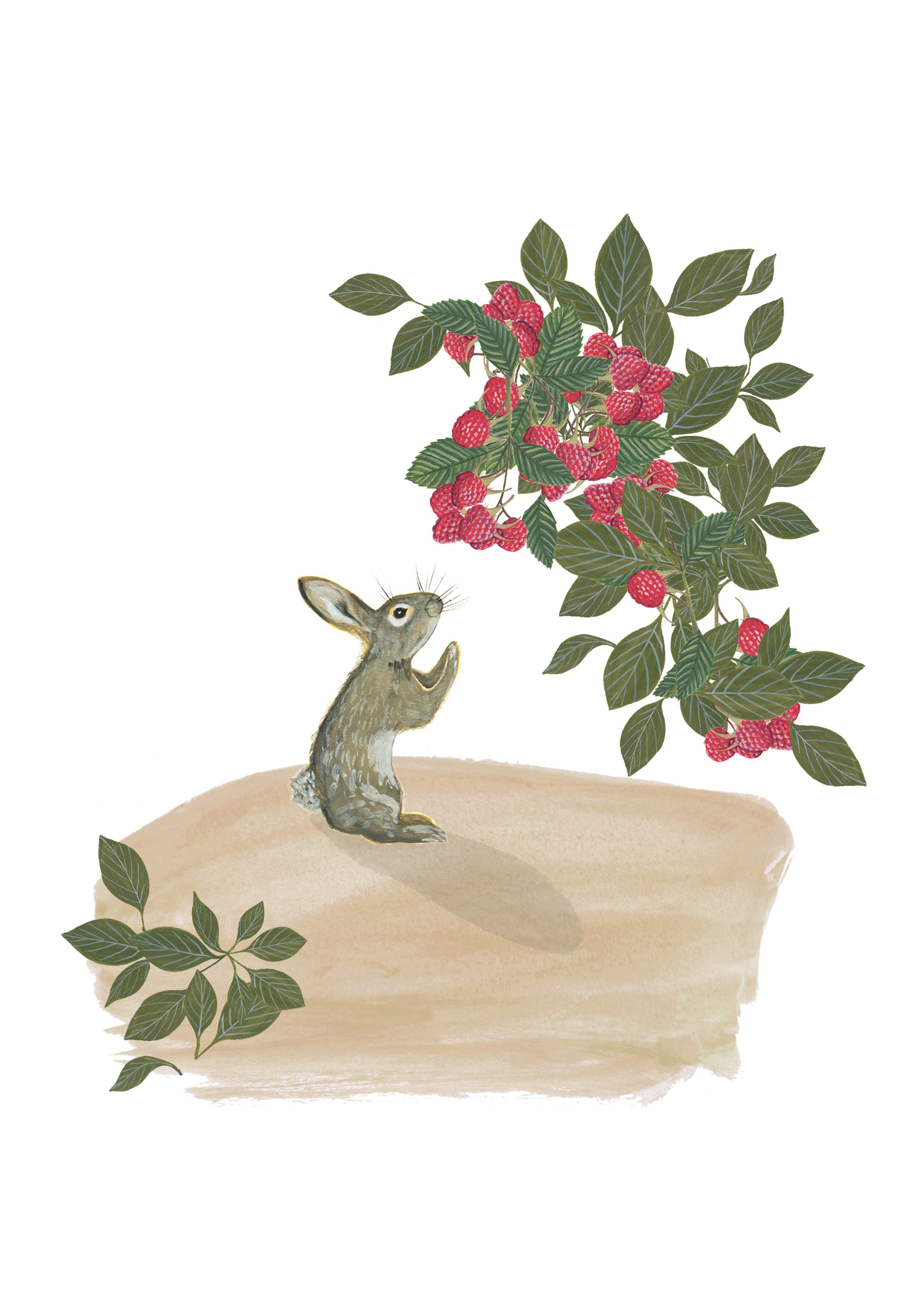 'Raspberry Bunny' gouache paintings designed as an illustration