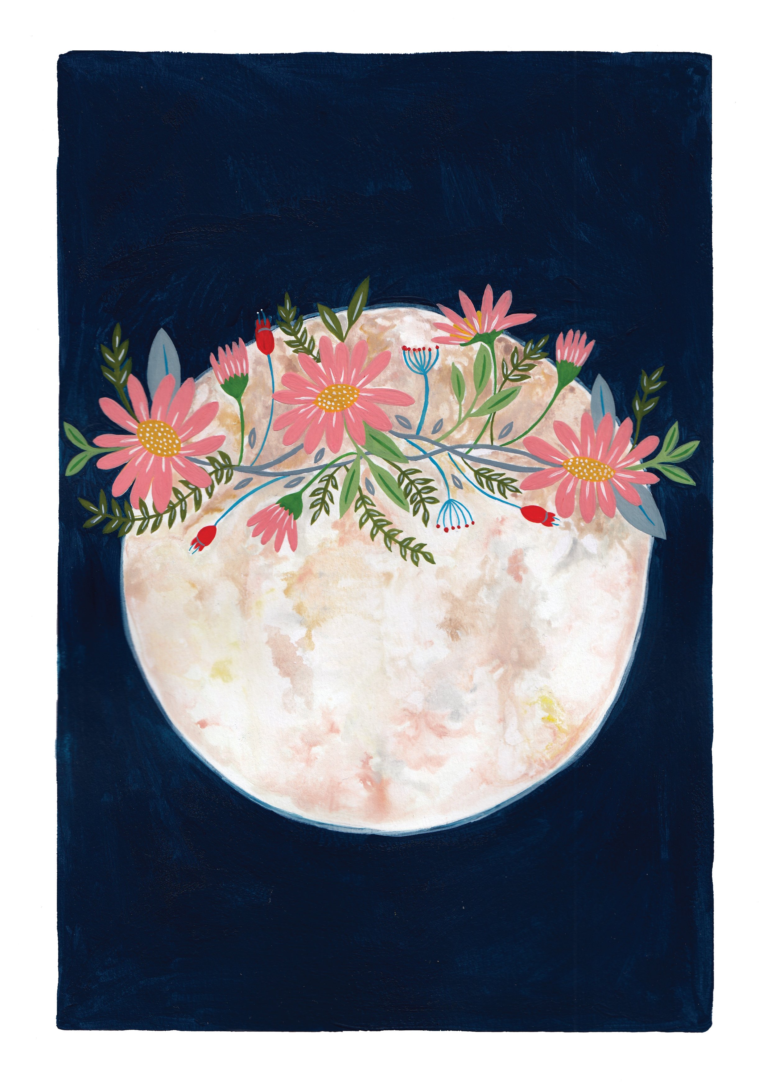 'Daisy Moon' gouache paintings designed as an illustration