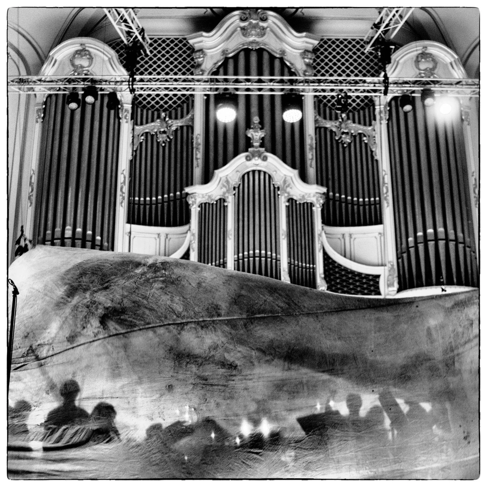 WhatsApp Image 2025-07-29 at 22.55.38(2).jpeg