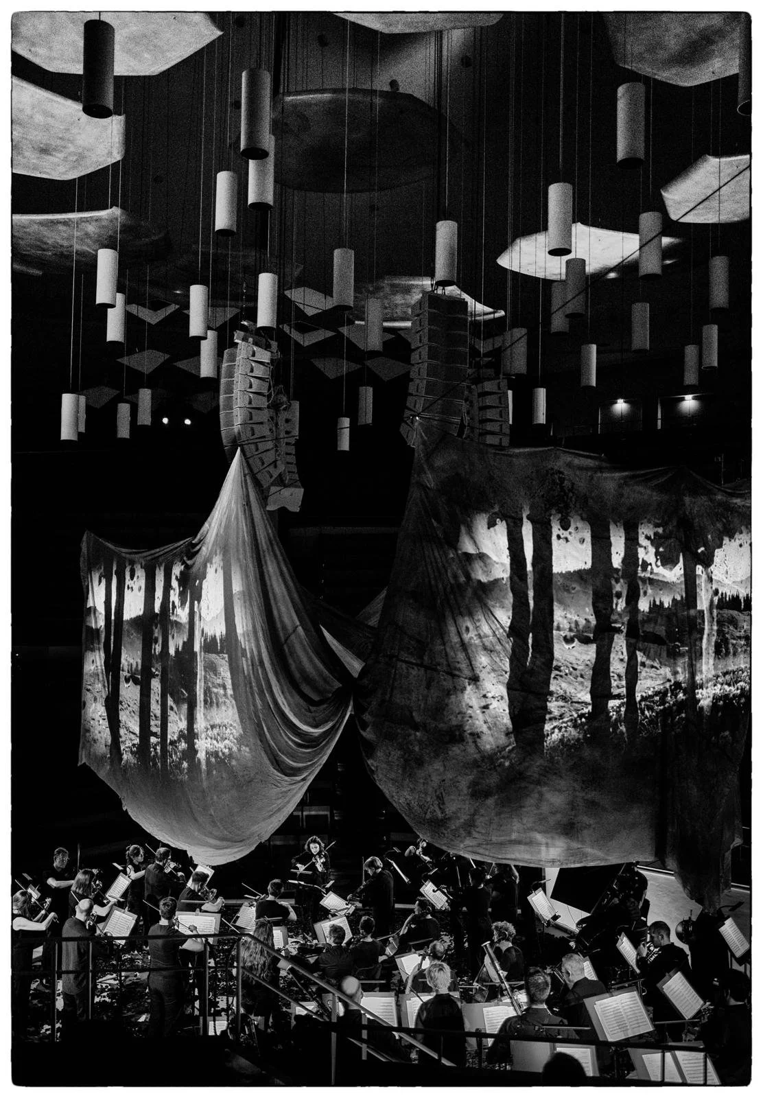 WhatsApp Image 2025-07-29 at 22.55.39(6).jpeg