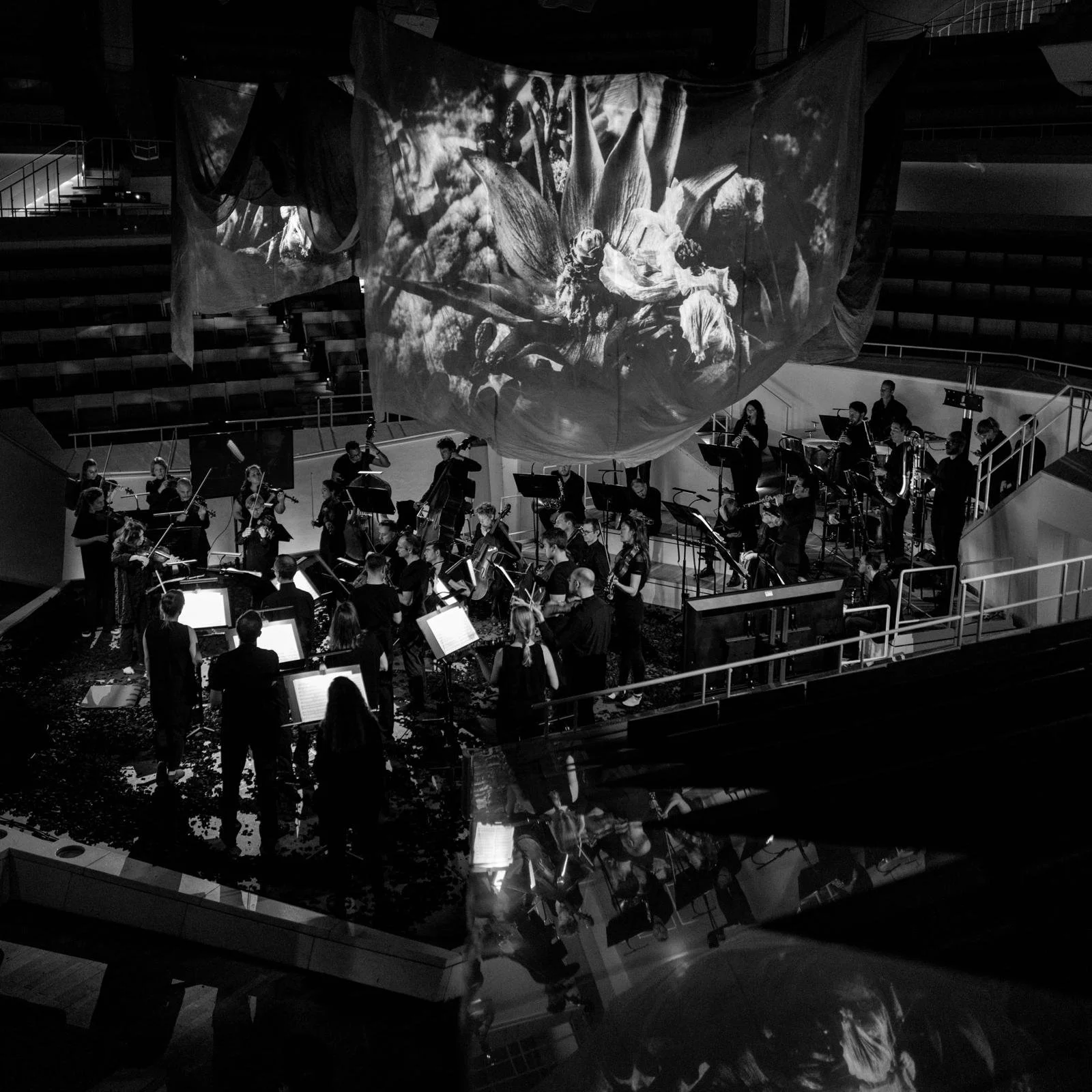 WhatsApp Image 2025-07-29 at 22.55.39(1).jpeg