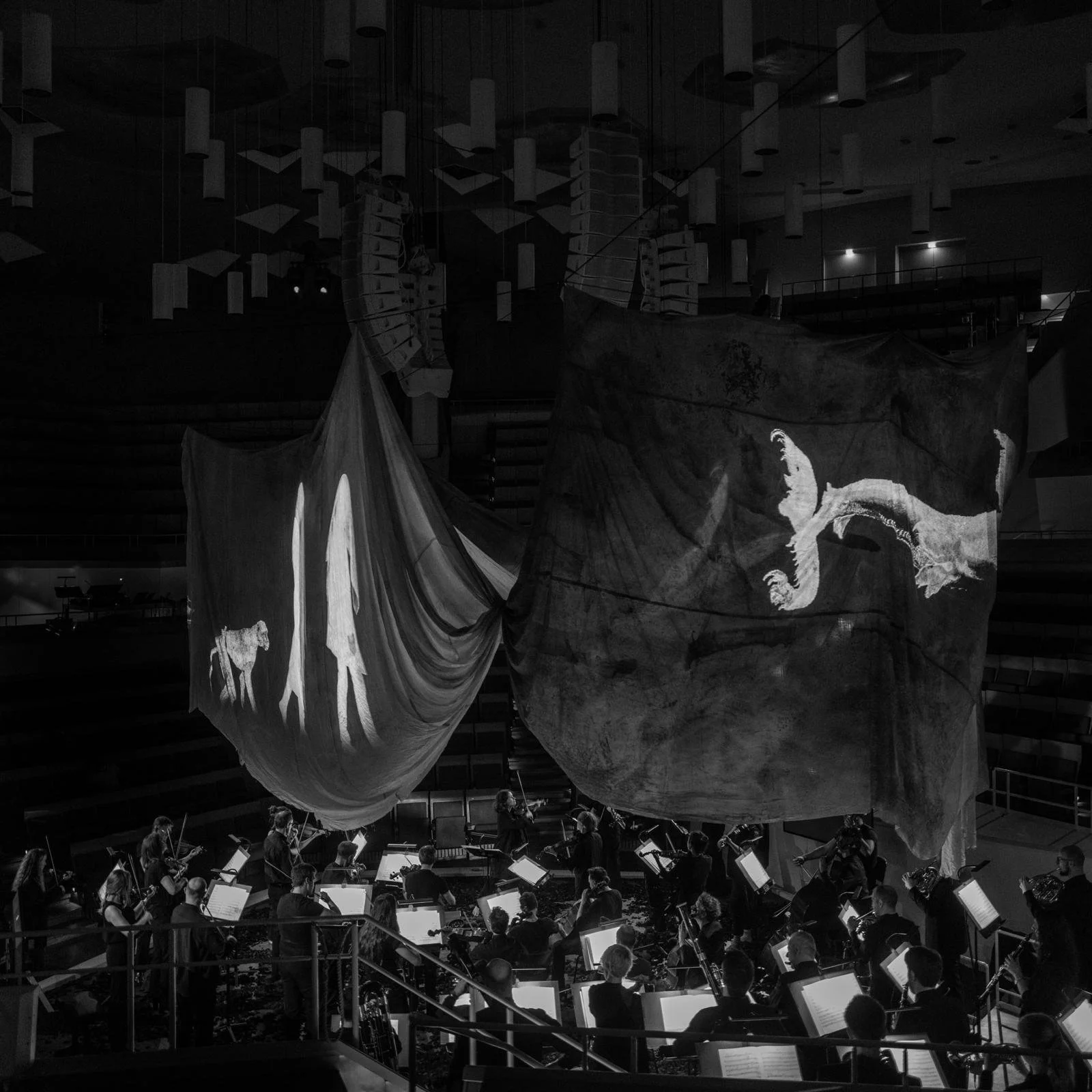 WhatsApp Image 2025-07-29 at 22.55.39(4).jpeg