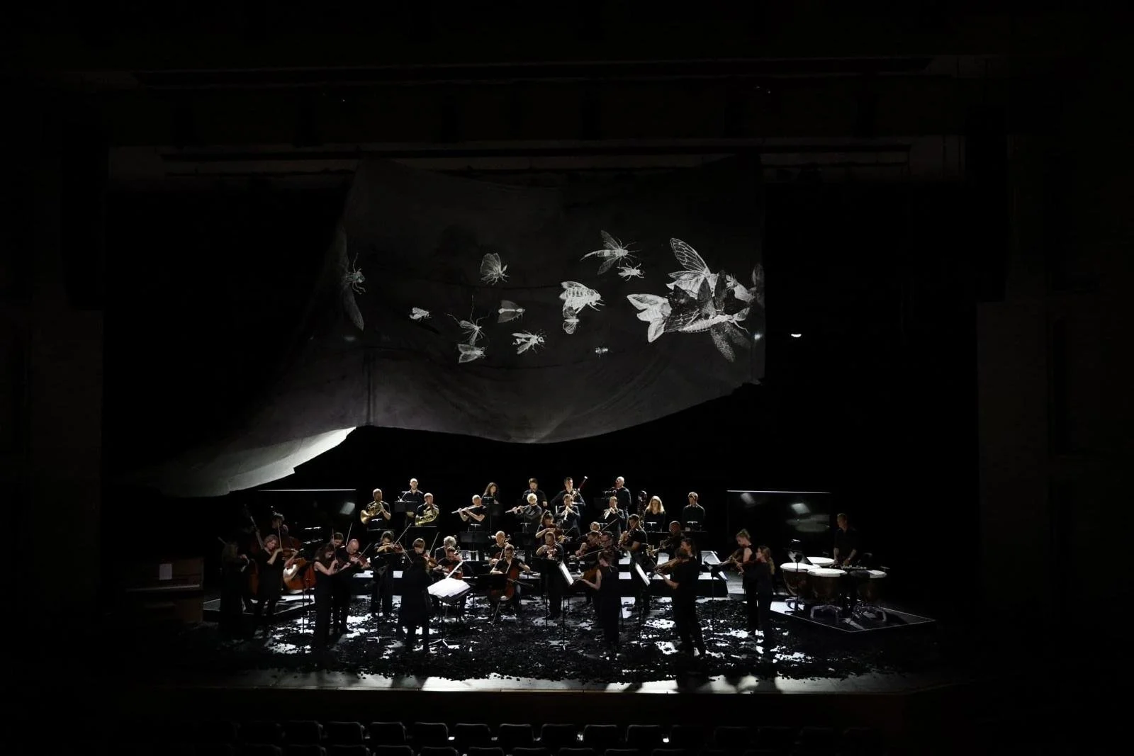 WhatsApp Image 2025-07-29 at 22.55.39(7).jpeg