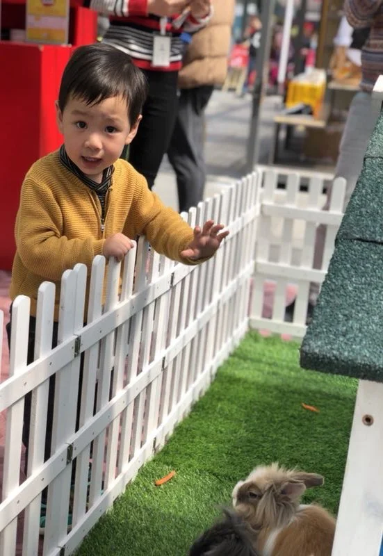 Life Hub @ Jinqiao (Shanghai)