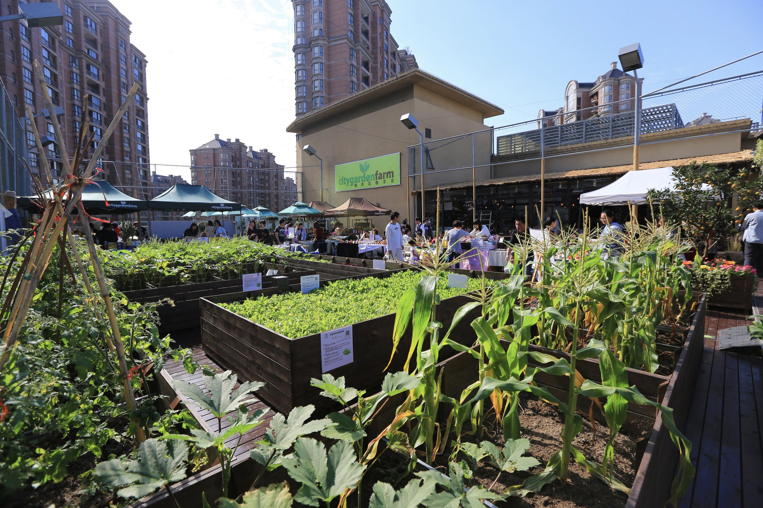 Life Hub @ Jinqiao (Shanghai)