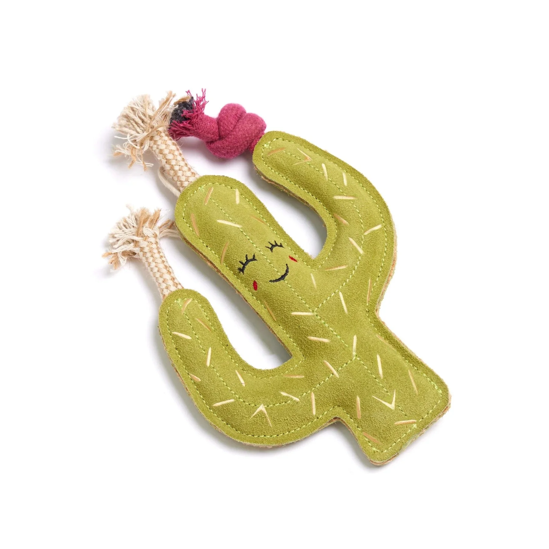 Carmen the Cactus, Eco Dog Toy