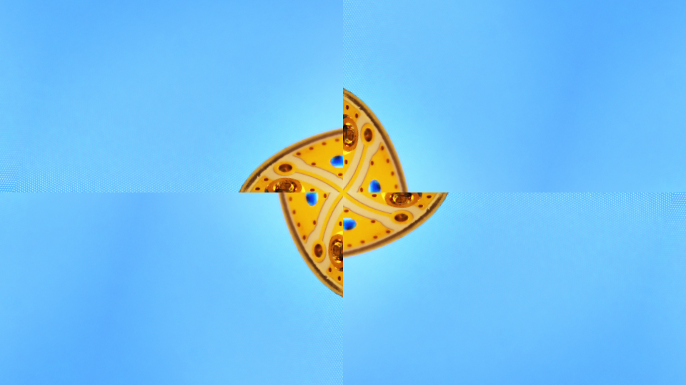 Still2.png