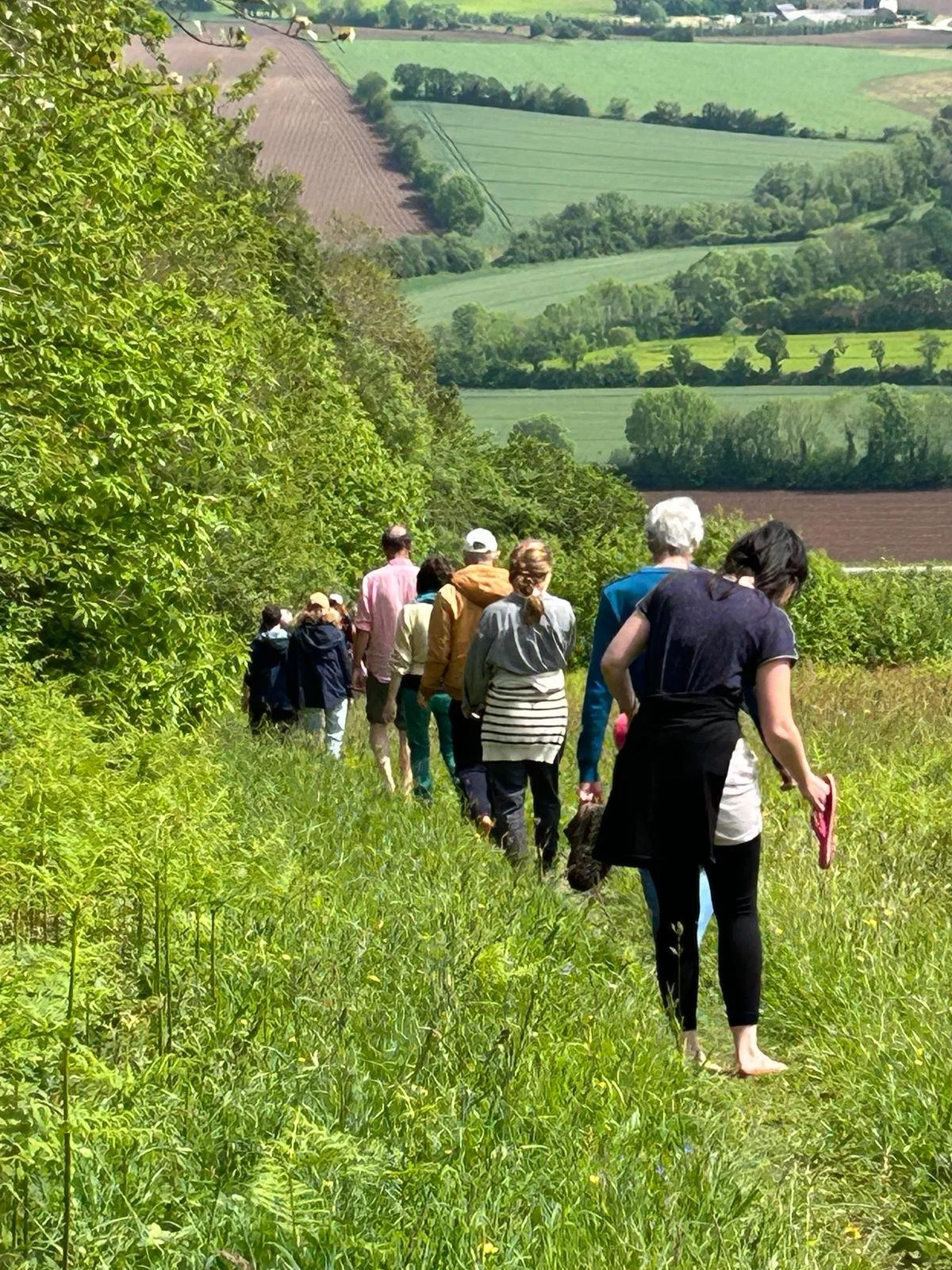 Constellations & Tabac