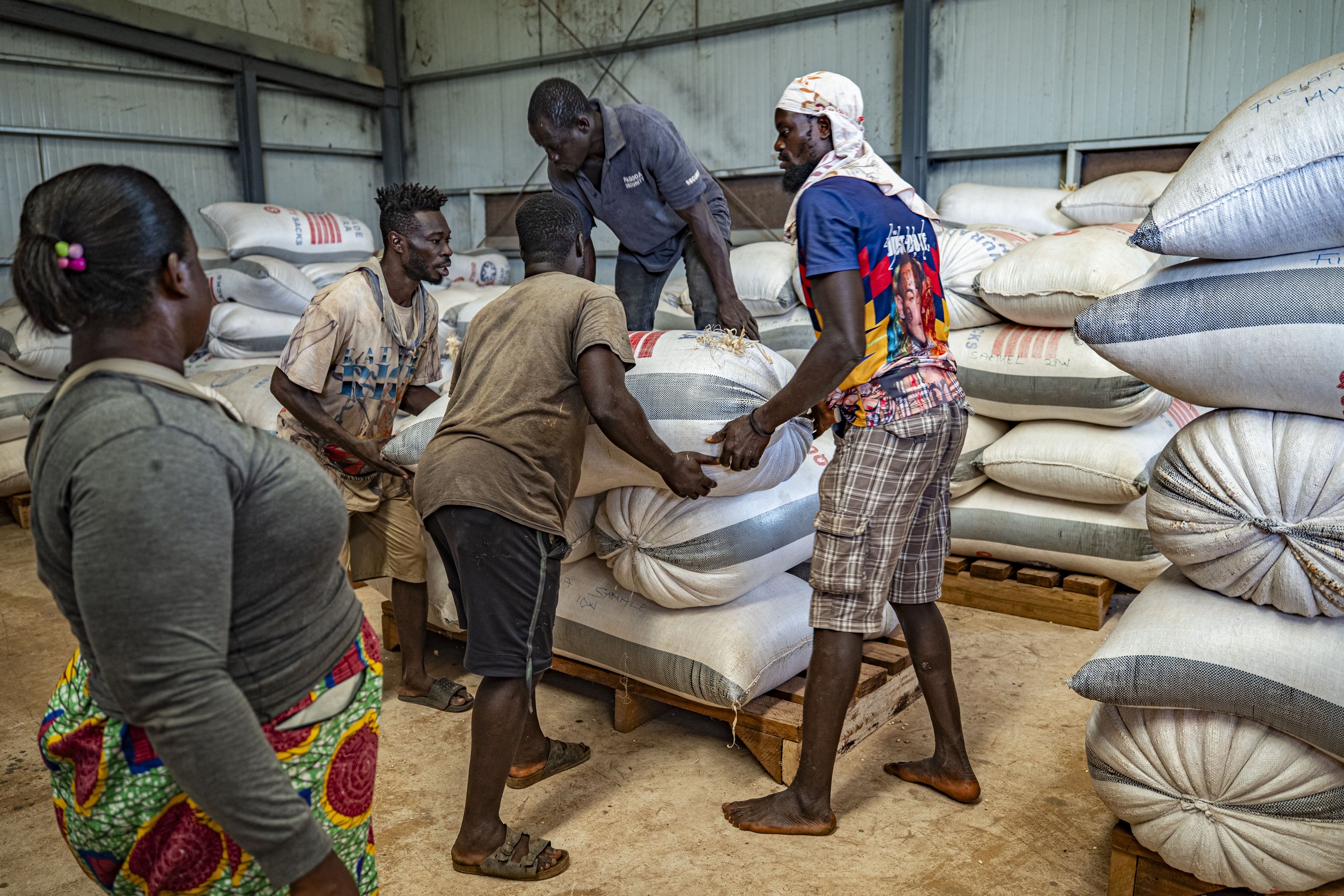Structure and performance of Ethiopia’s coffee export sector