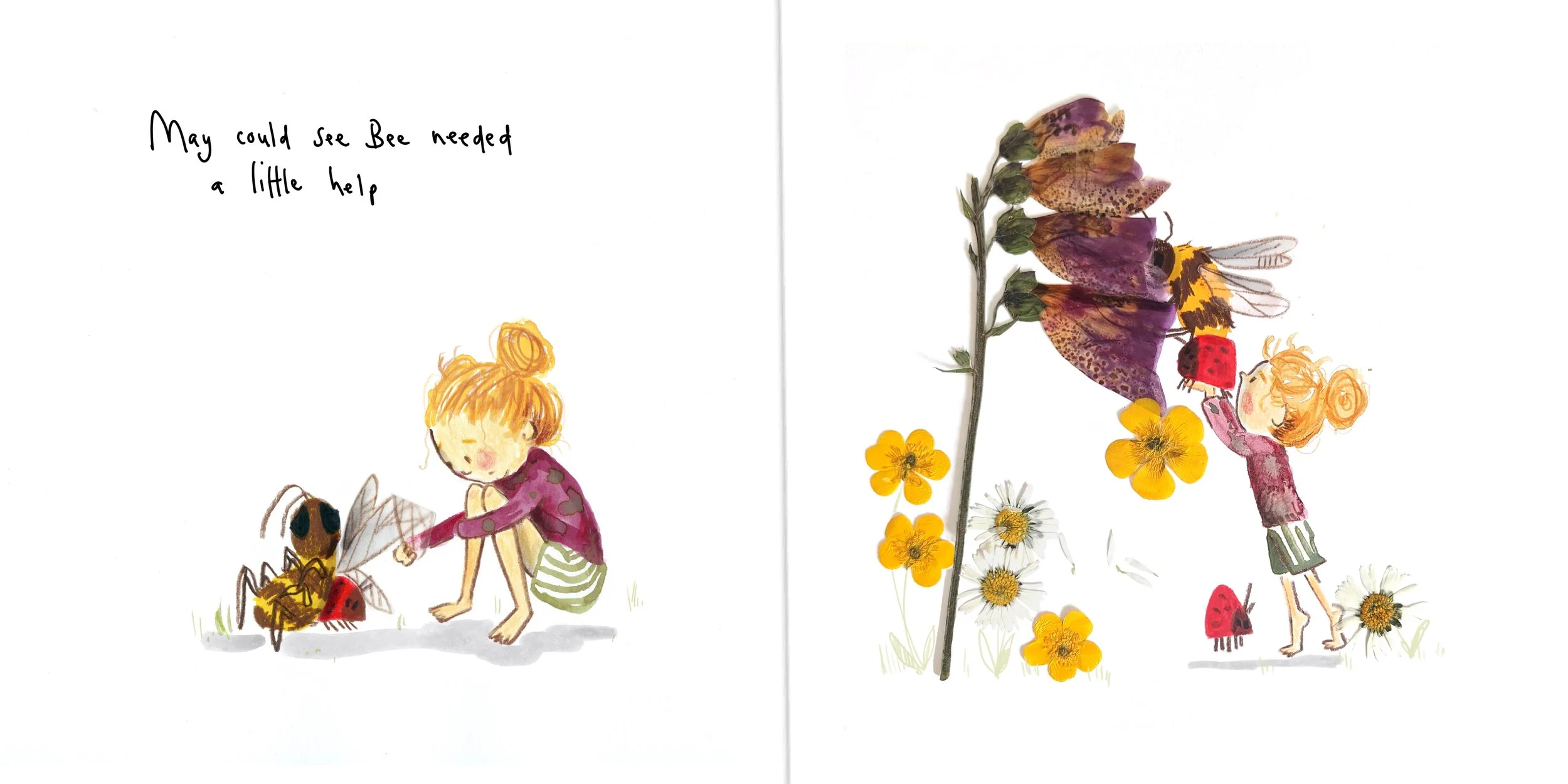 May, Ladybug and Bee form a friendship. 

Personal illustration project using dried flowers. 