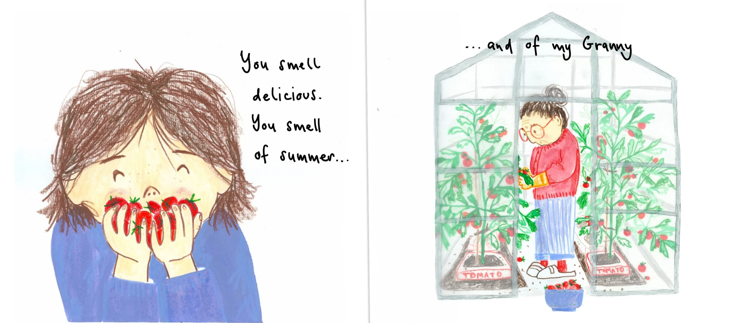 The love of a tomato. Part 2. A personal project. 