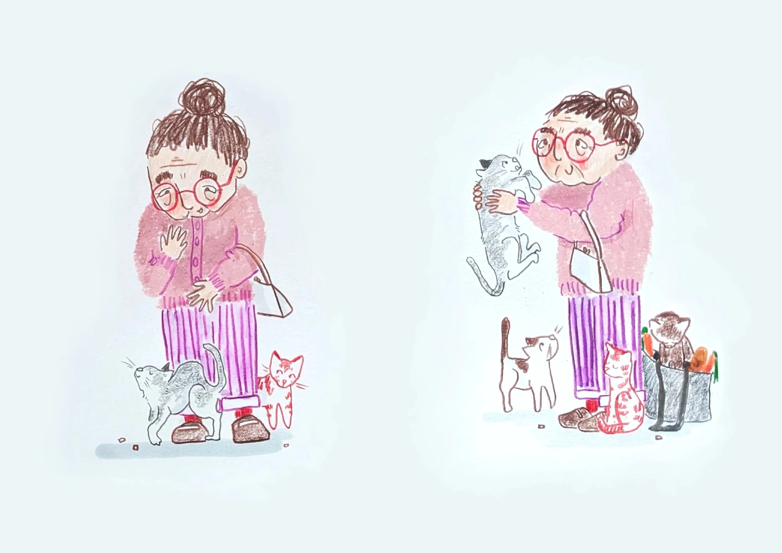 Mrs S and the cats part 2