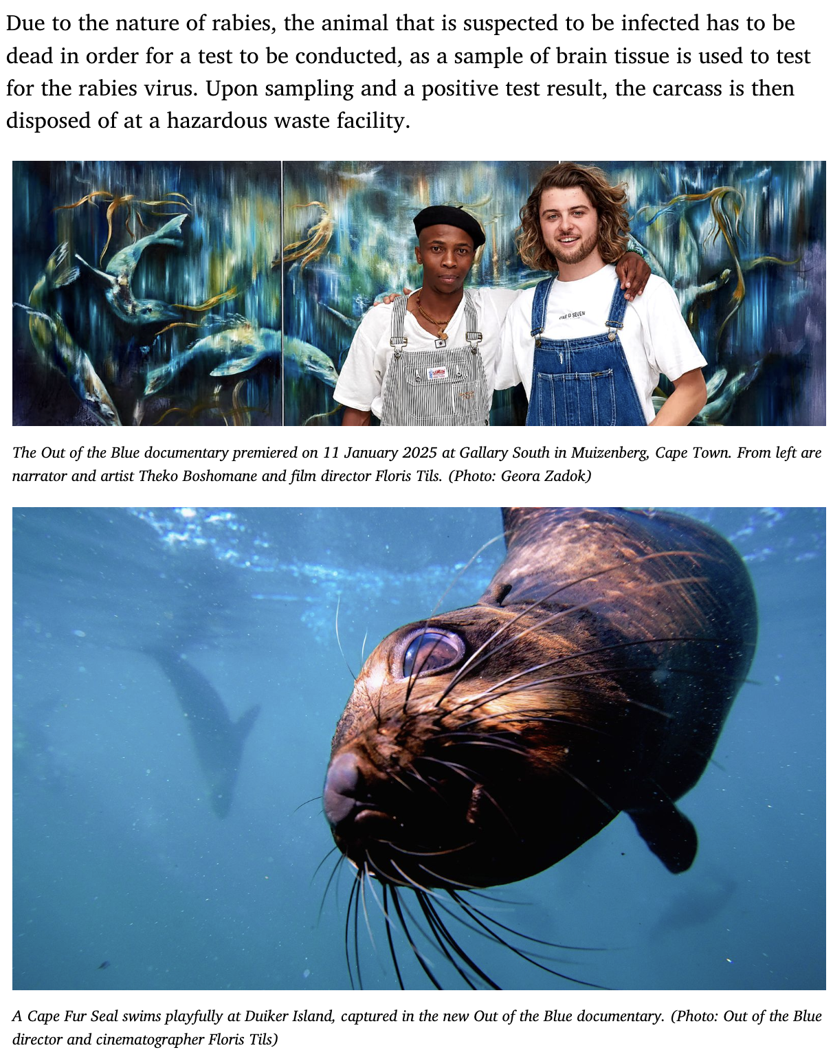 Screenshot 2026-01-24 at 01.45.44.png