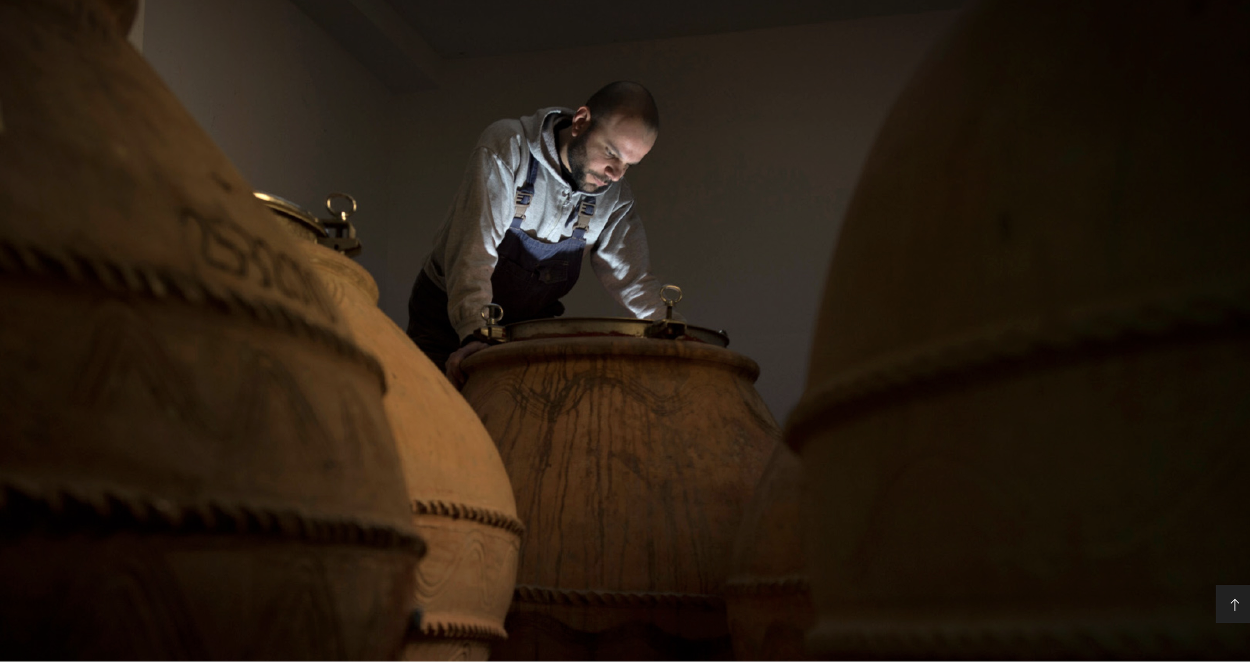 Vinsmaking med Cirelli