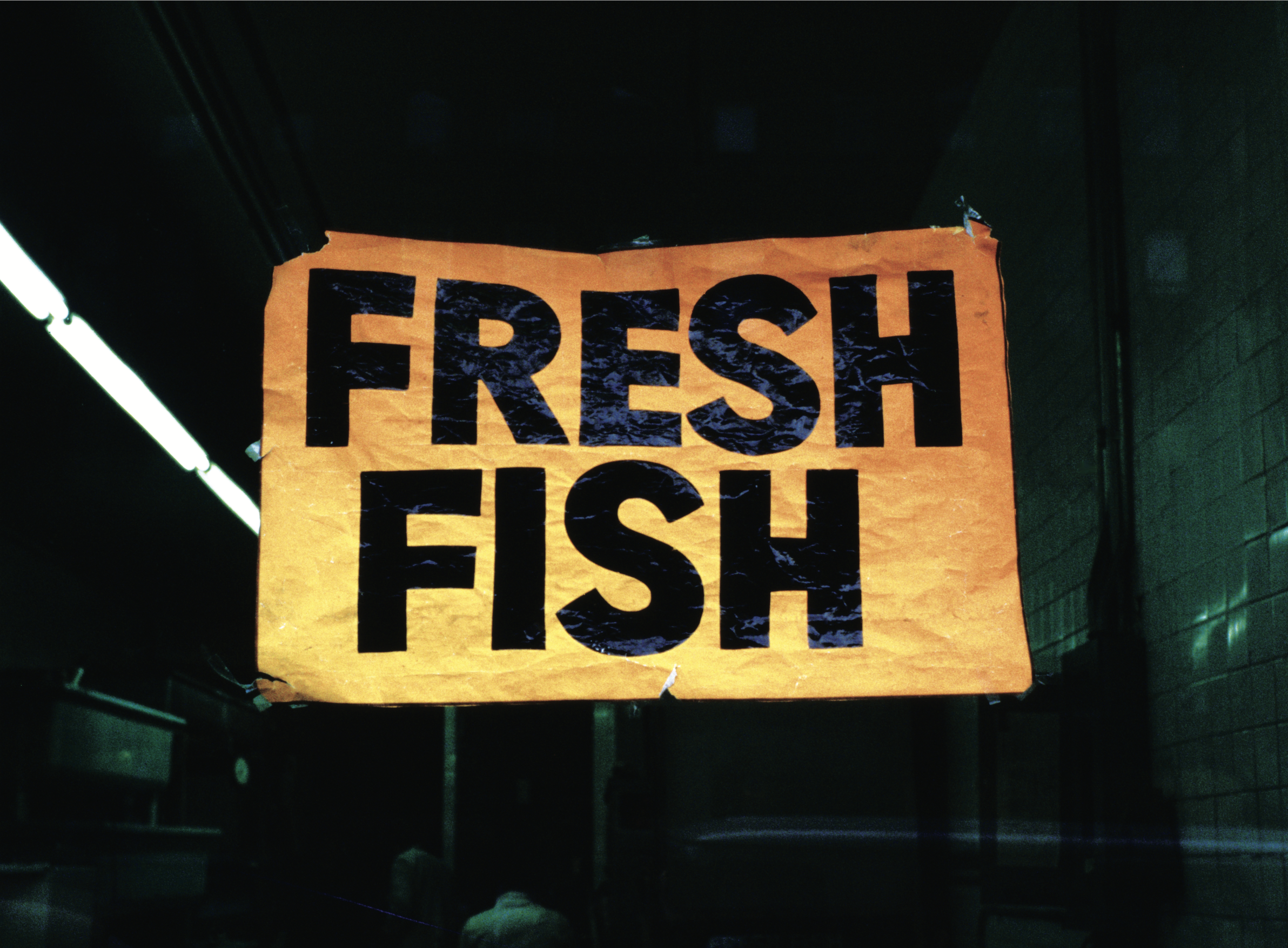 «Fresh Fish» av Jan Walaker