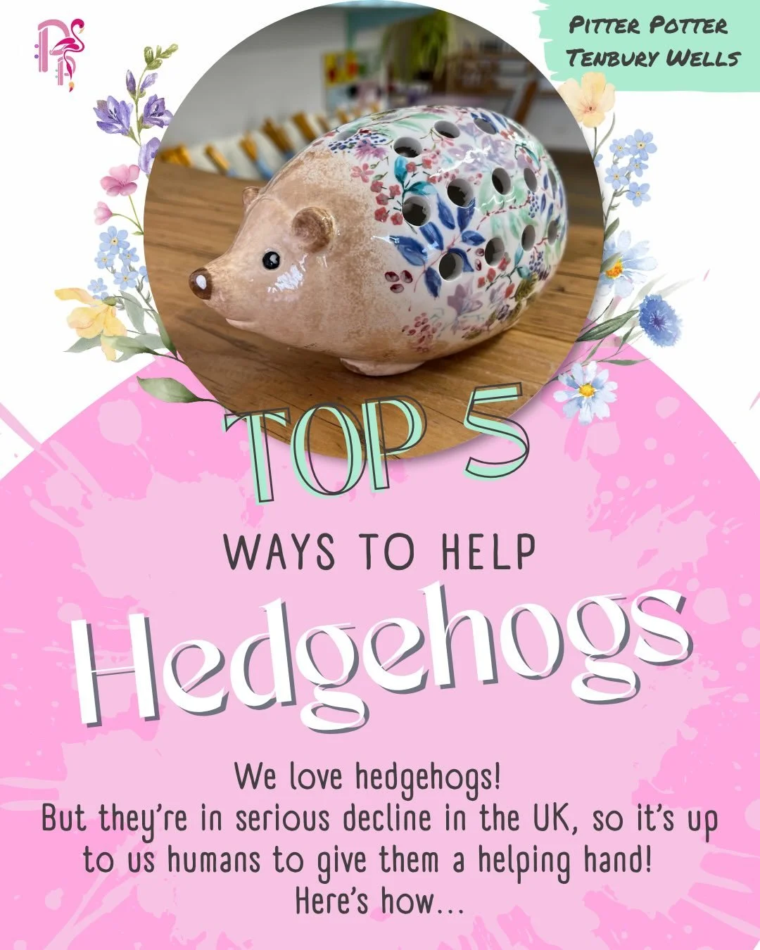 🦔 HEDGEHOG &bull; AWARENESS &bull; WEEK 🦔

We love hedgehogs! Last week was #HedgehogAwarenessWeek, but we were away, so we&rsquo;re catching up now! 

Hedgehogs aren&rsquo;t doing so well at the moment, and their numbers are in serious decline😢

