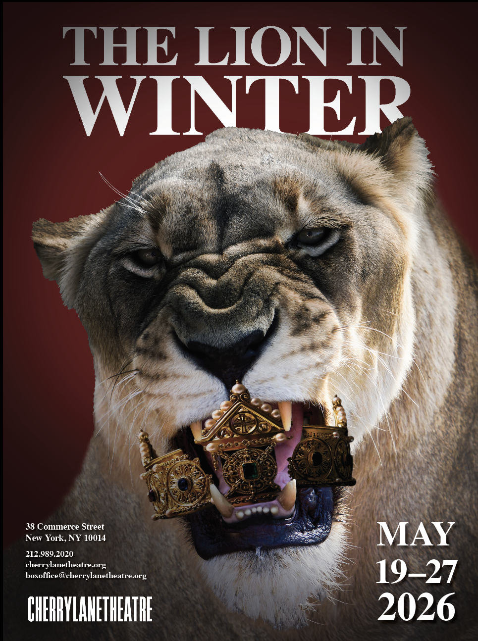 lioninwinter.png