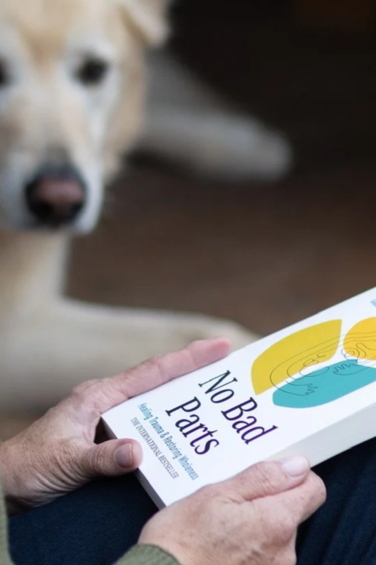 What Is IFS Therapy? A guide to understanding your inner world