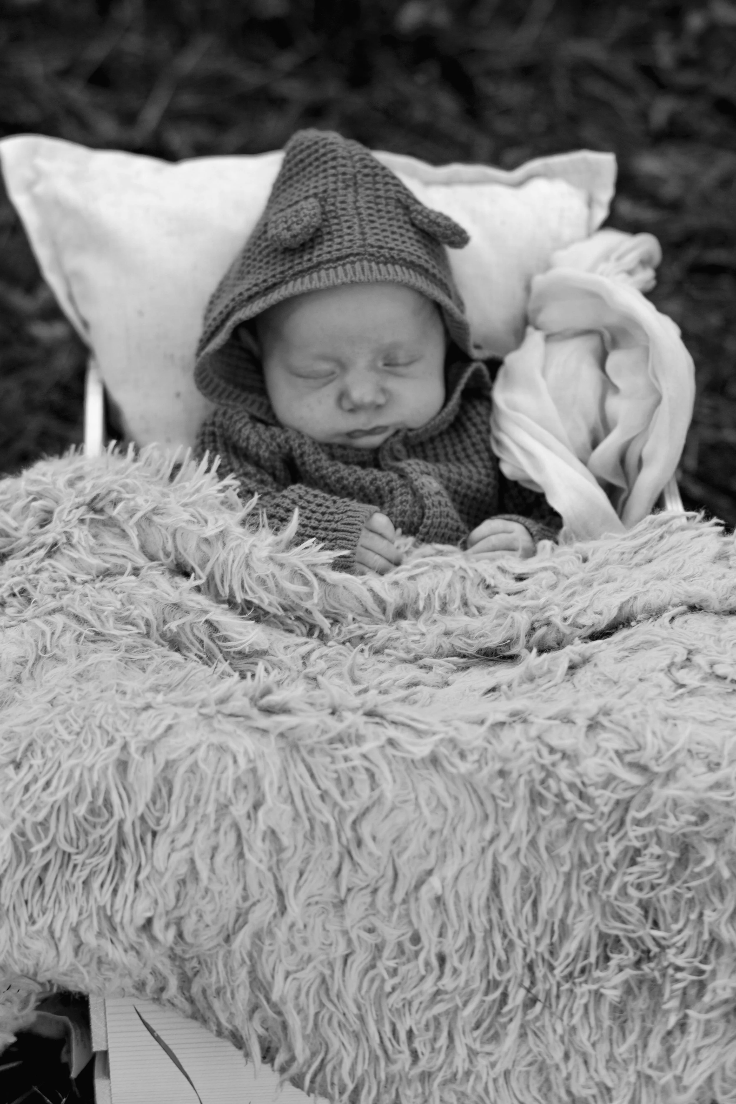 image1 (61).jpeg