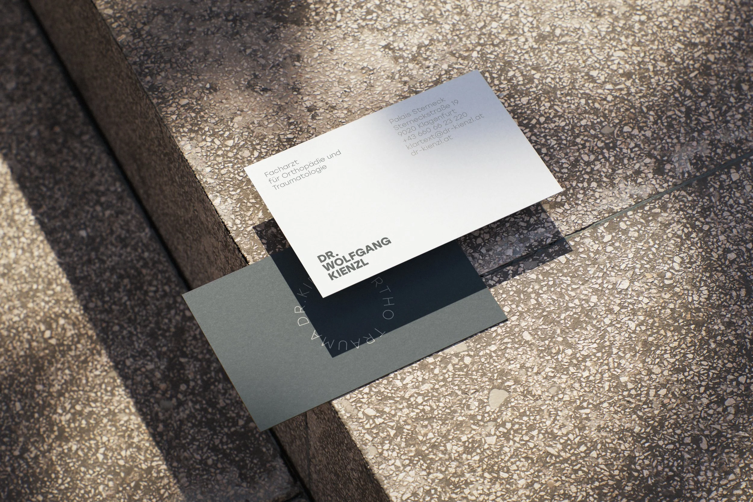Corporate Design: Visitenkarten / DR. WOLFGANG KIENZL