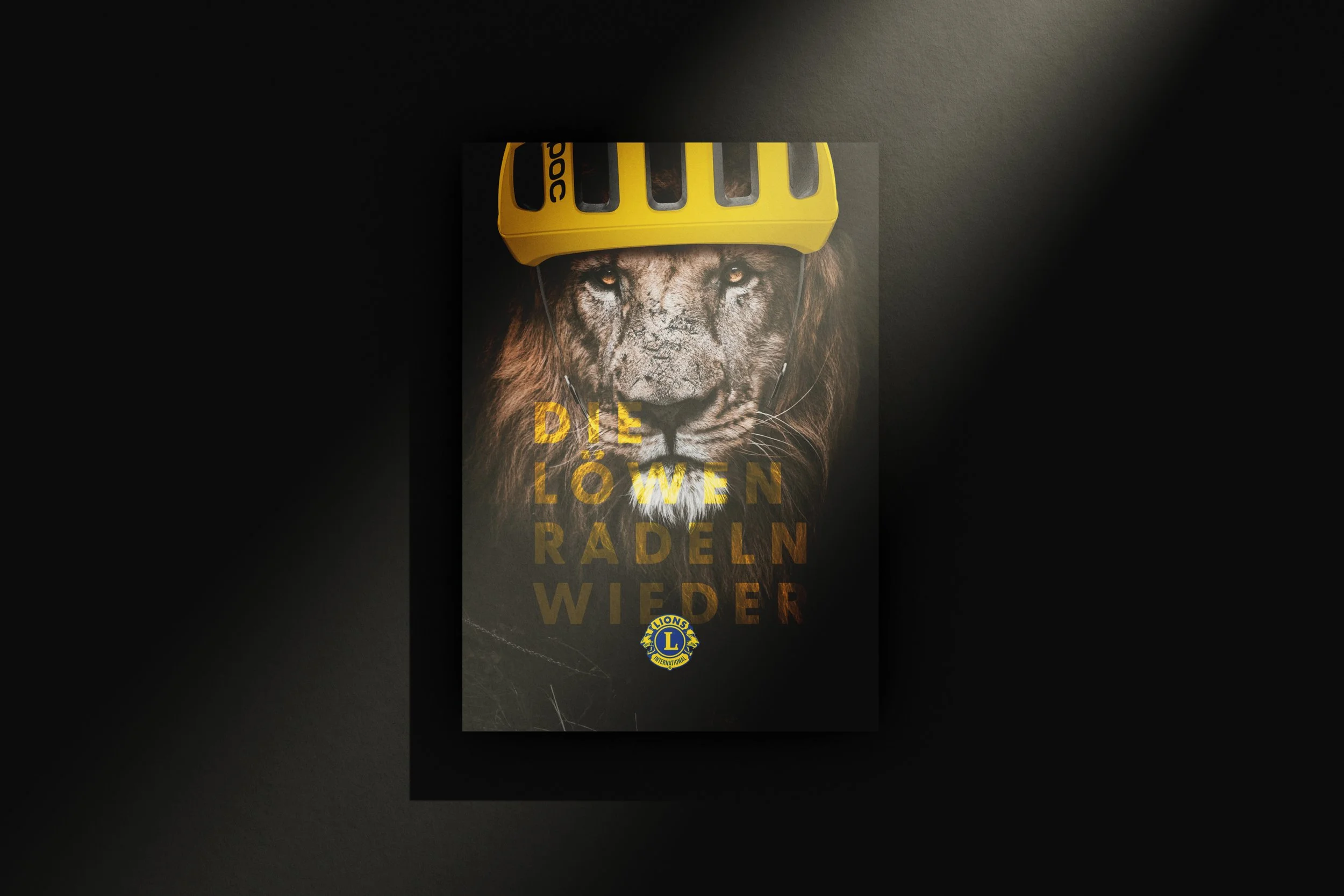 LIONS
