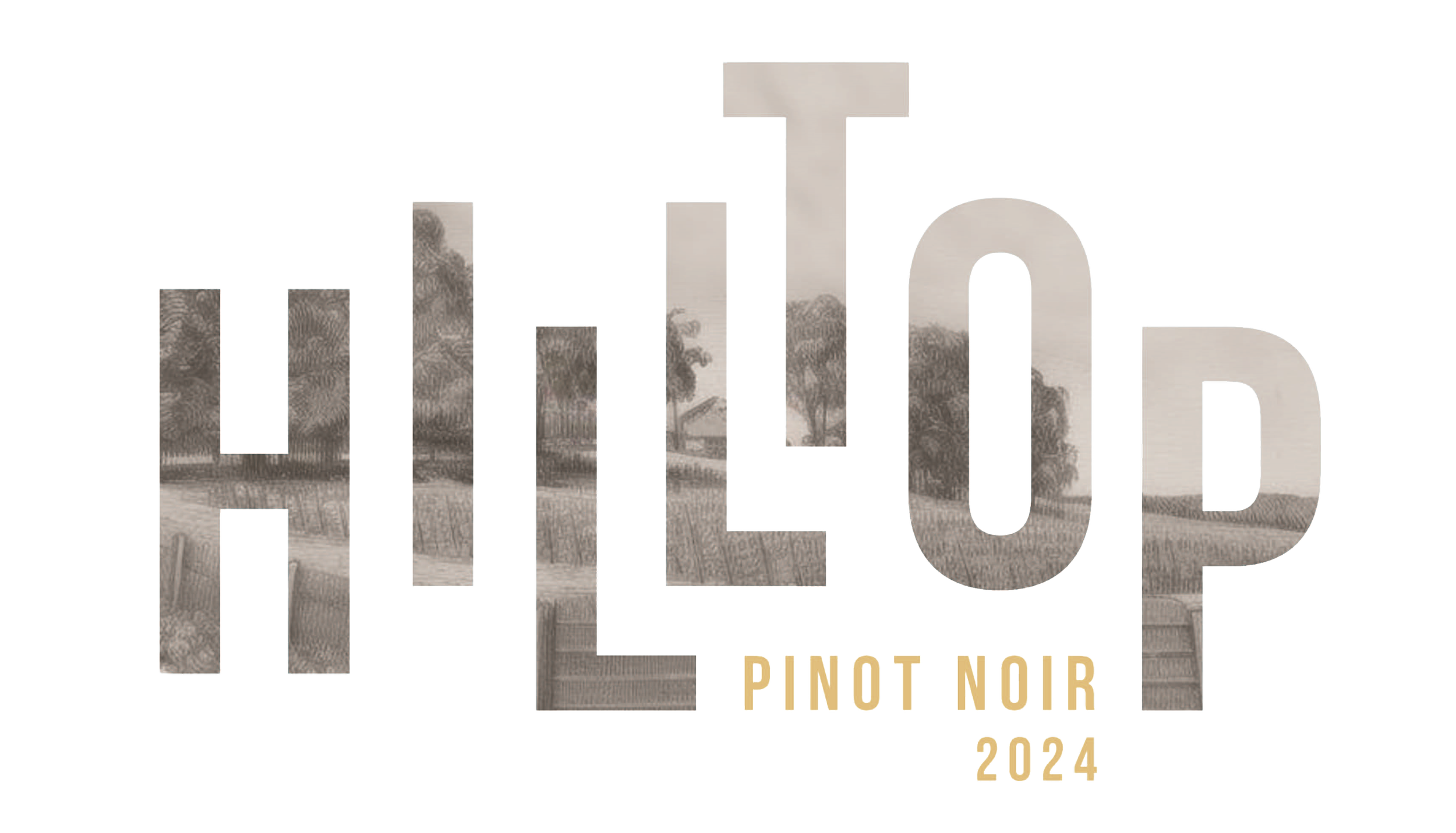 Cover image for the 2024 Pinot Noir event, featuring the word "Pinot" in large stylized text with a vineyard scene in the background.