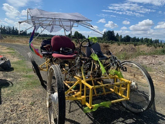 01ef072d-64b9-4c1a-9a8e-5422c5f8e3ee.jfif