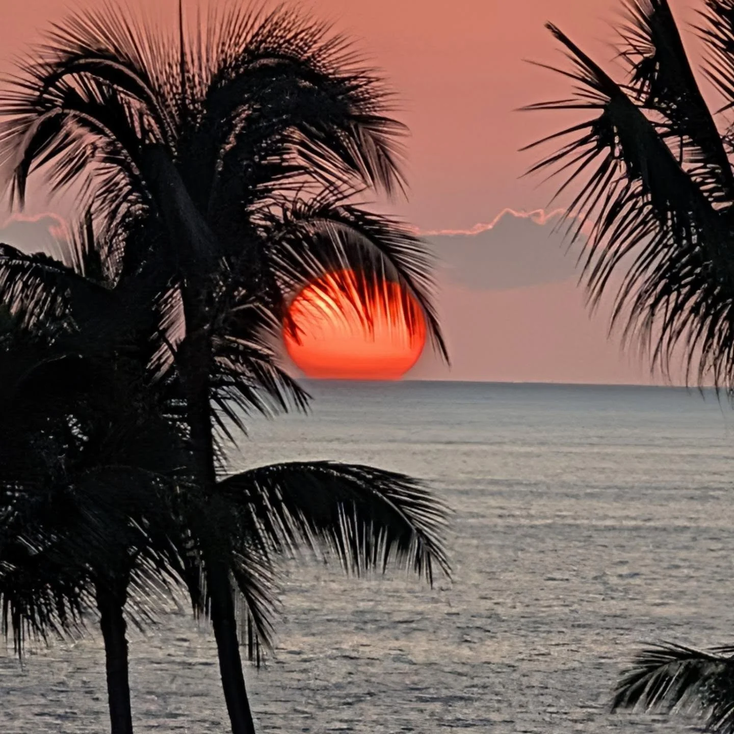 My best shots from Hawaii with a story I have yet to share:

On day 2, I woke up and couldn't put any weight on my foot. I sat down and noticed something in my heel. I asked the front desk for tweezers but they said they had to call  First Aid. &quot