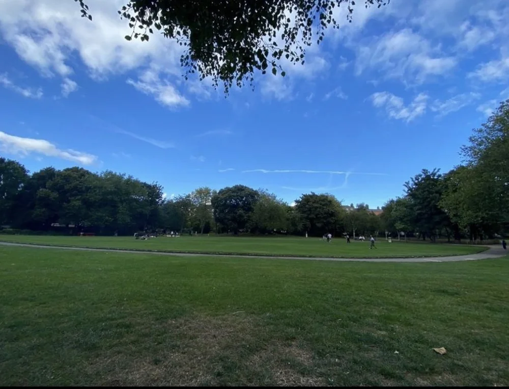 Mount Merrion Park, Dublin