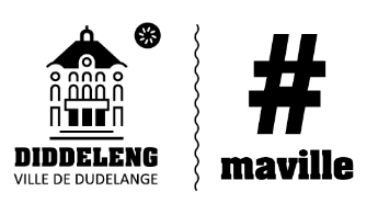 Wat heescht hei Demokratie?
