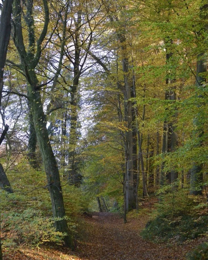 Today and tomorrow ! Discover the full program for this weekend, packed with workshops, walks, yoga, food, music and so much more.  Swipe to explore the details for each day. 
To join an activity, don&rsquo;t forget to book through our website. Make 