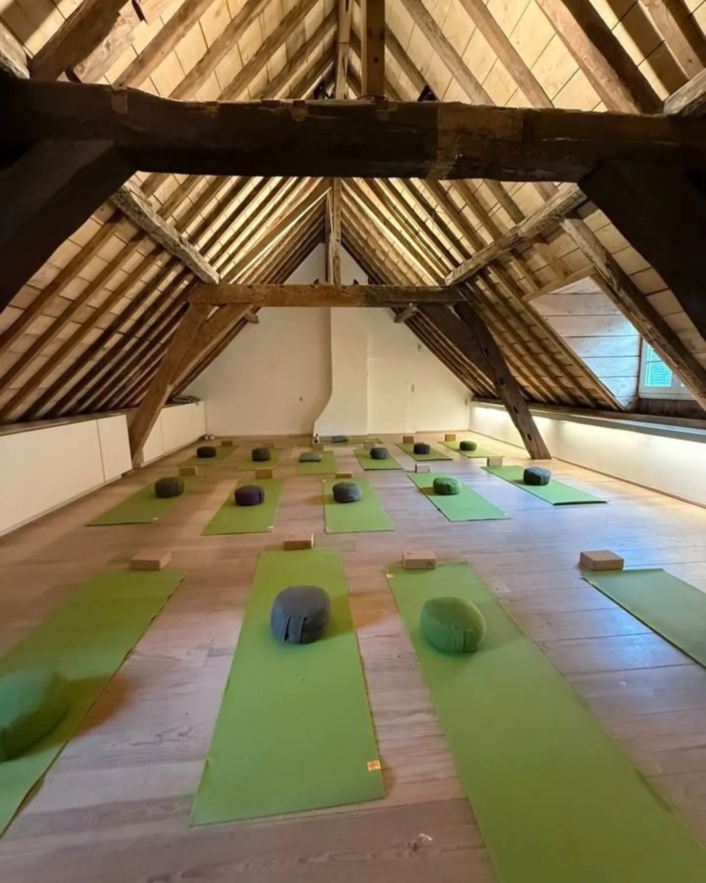 Discover Sylvatica : 
A warm, light-filled room designed for body awareness and free movement. The space includes access to changing rooms and showers, and is fully equipped with 16 yoga mats, cushions, and blankets, creating a comfortable and suppor
