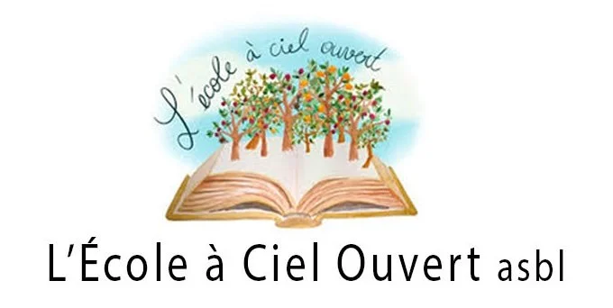 [FR] Conférence - Rencontre avec Diane Drory : "Parents: accompagnons nos enfants avec confiance et structure"
