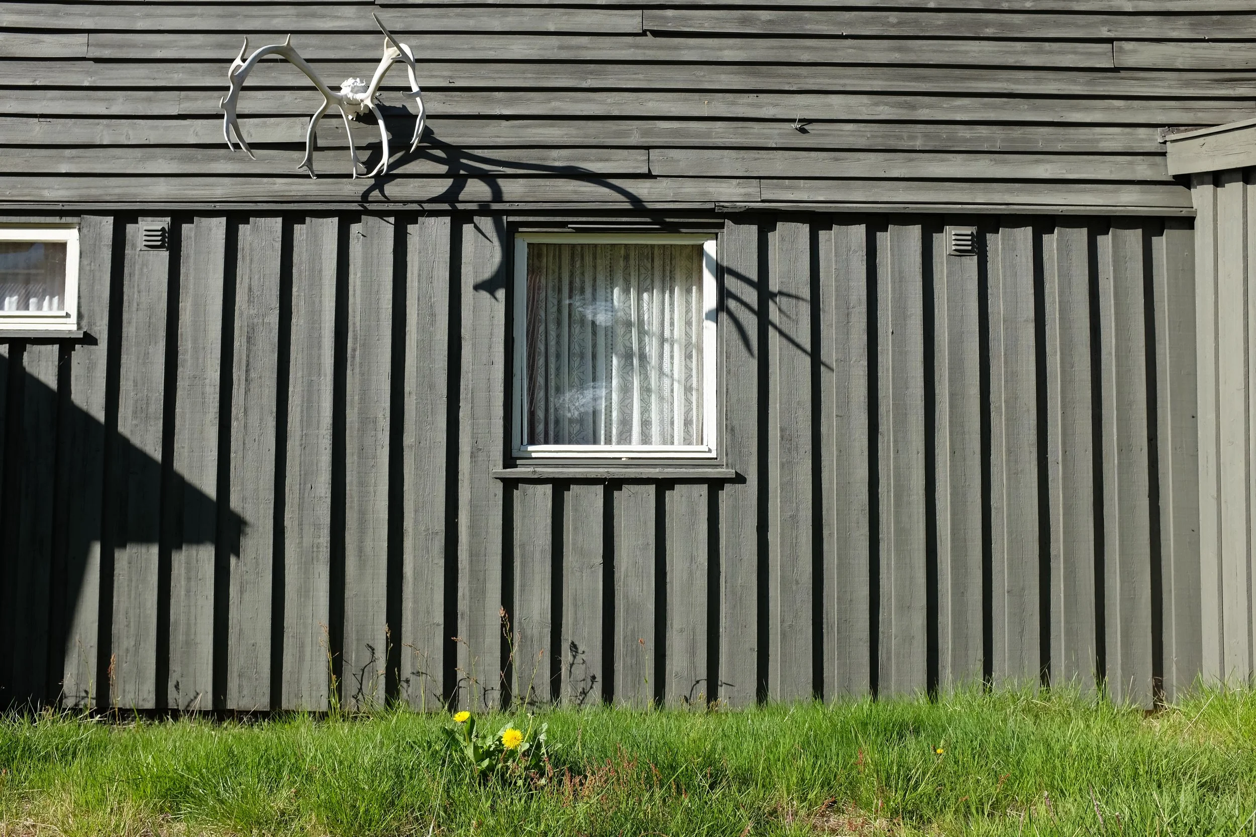 DSCF1168.JPG